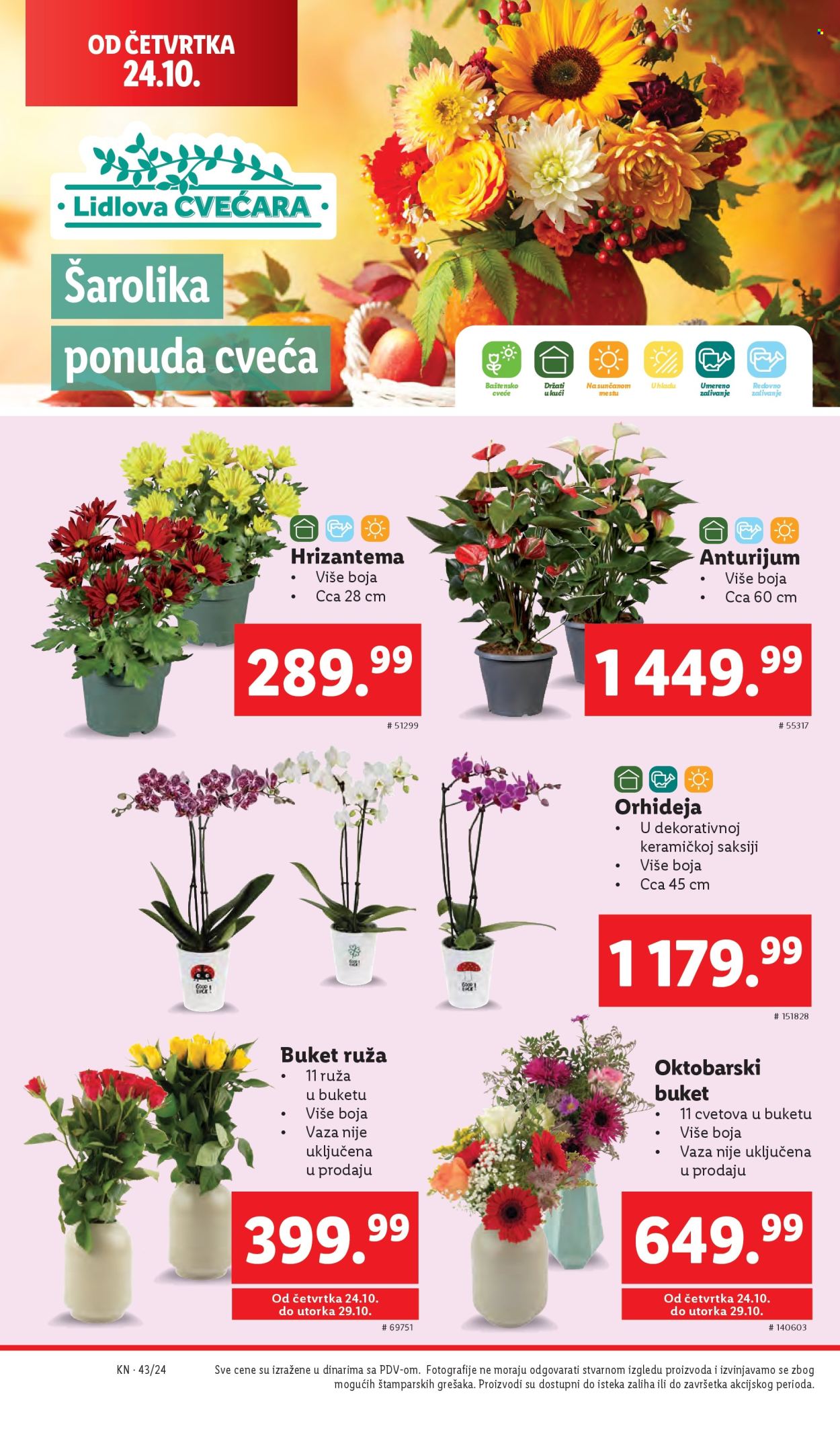 Lidl katalog - 24.10.2024 - 30.10.2024. Stranica 42