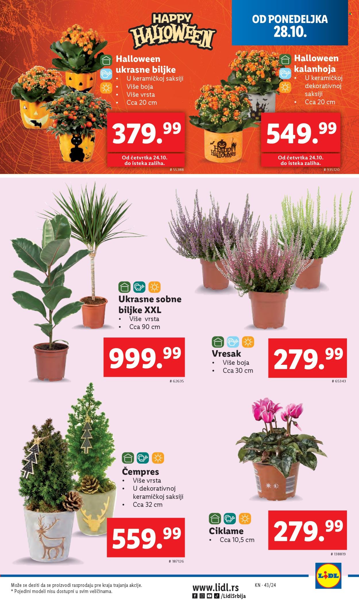 Lidl katalog - 24.10.2024 - 30.10.2024. Stranica 43