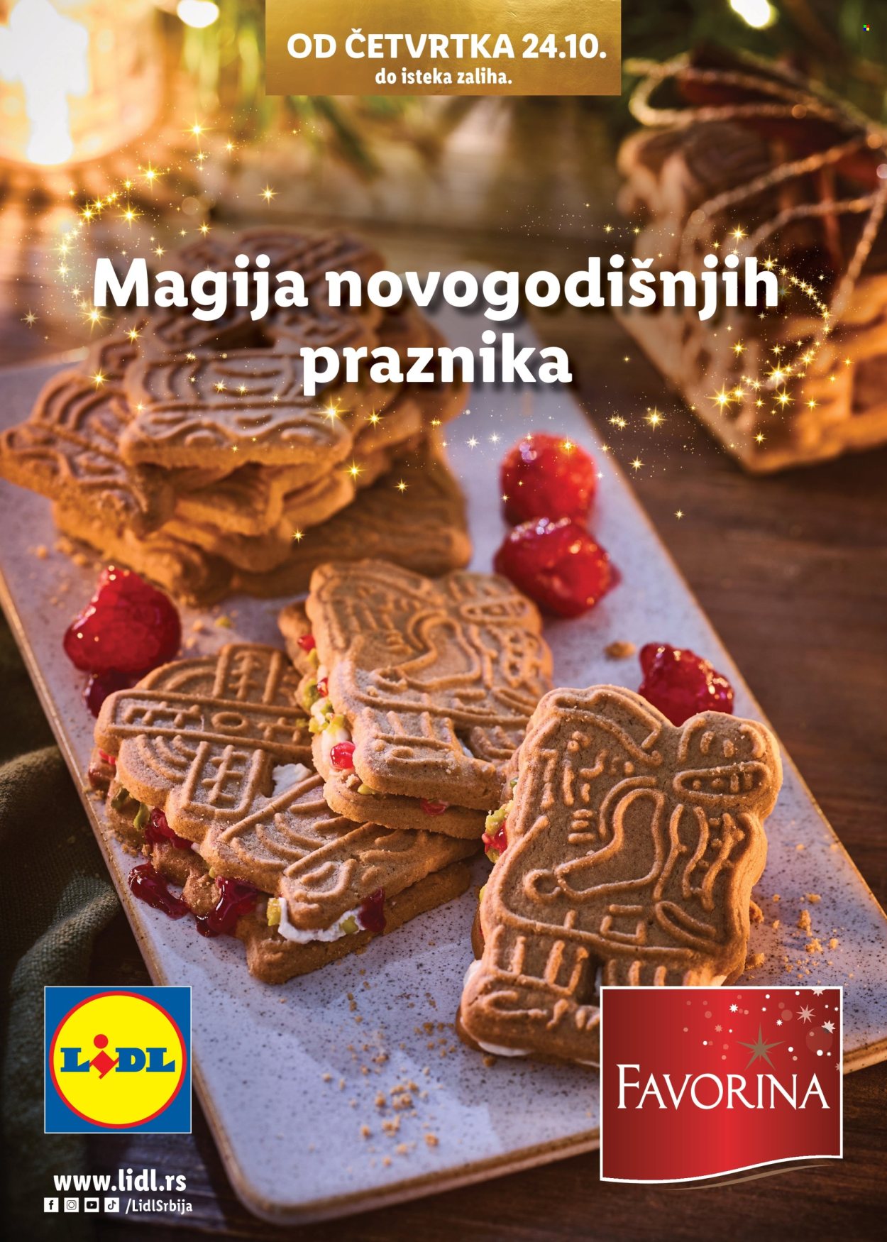 Lidl katalog. Stranica 1