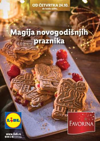 Lidl katalog.