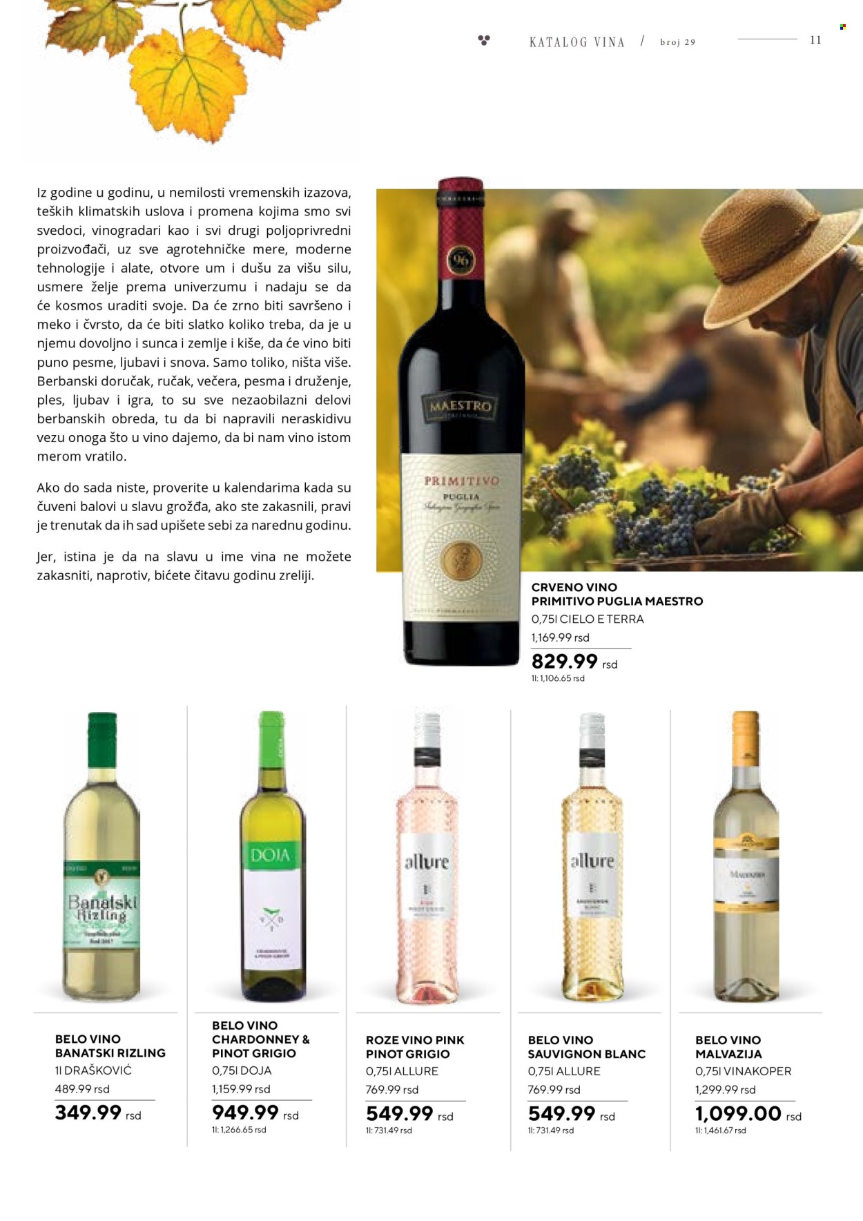 Roda katalog - 25.10.2024 - 24.11.2024. Stranica 11