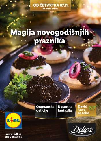 Lidl katalog.