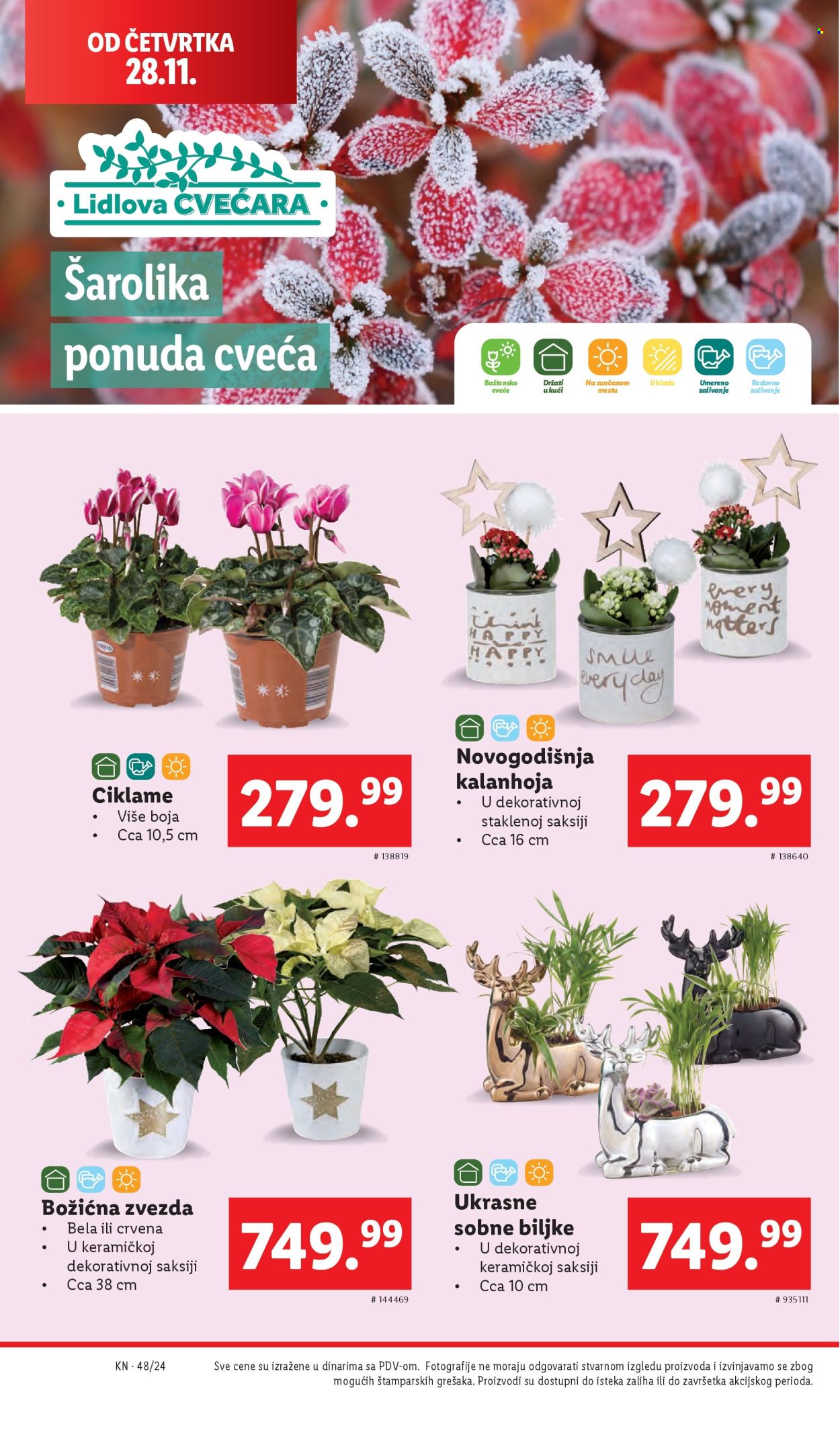 Lidl katalog - 28.11.2024 - 04.12.2024. Stranica 32