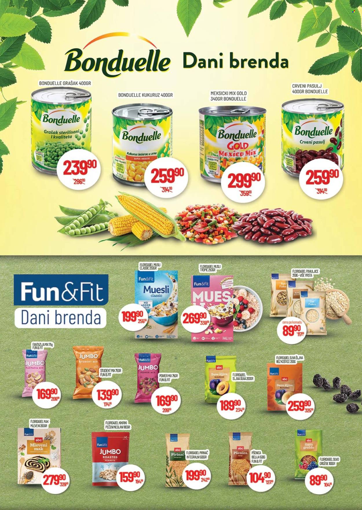 Medius katalog - 03.12.2024 - 15.12.2024. Stranica 17