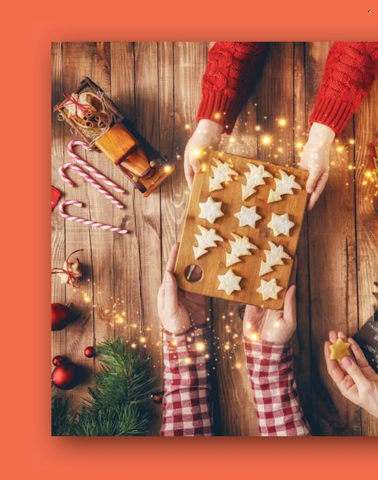 Idea katalog - 16.12.2024 - 14.01.2025. Stranica 161