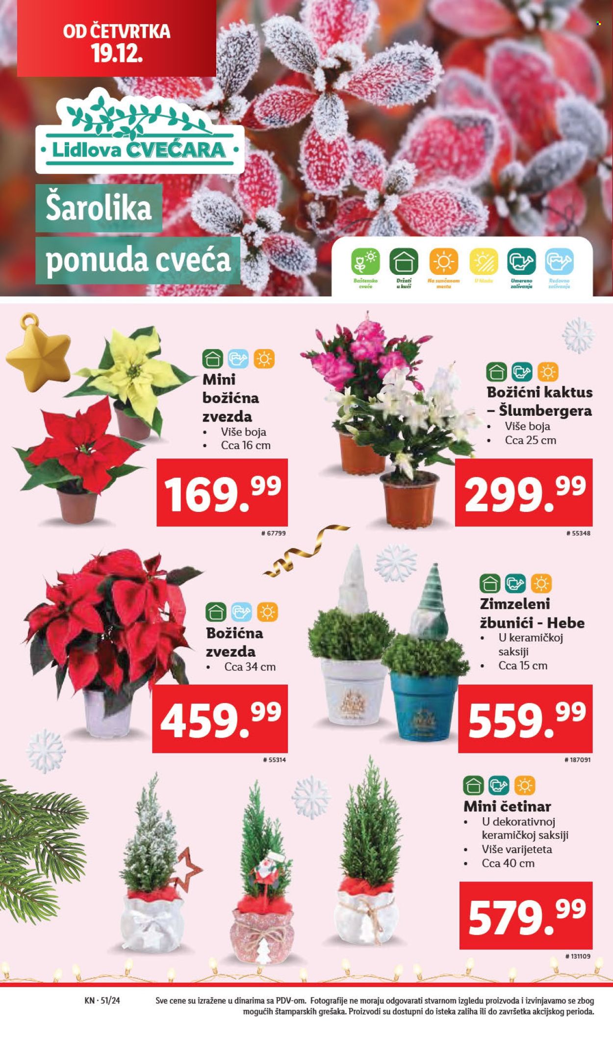 Lidl katalog - 19.12.2024 - 25.12.2024. Stranica 36