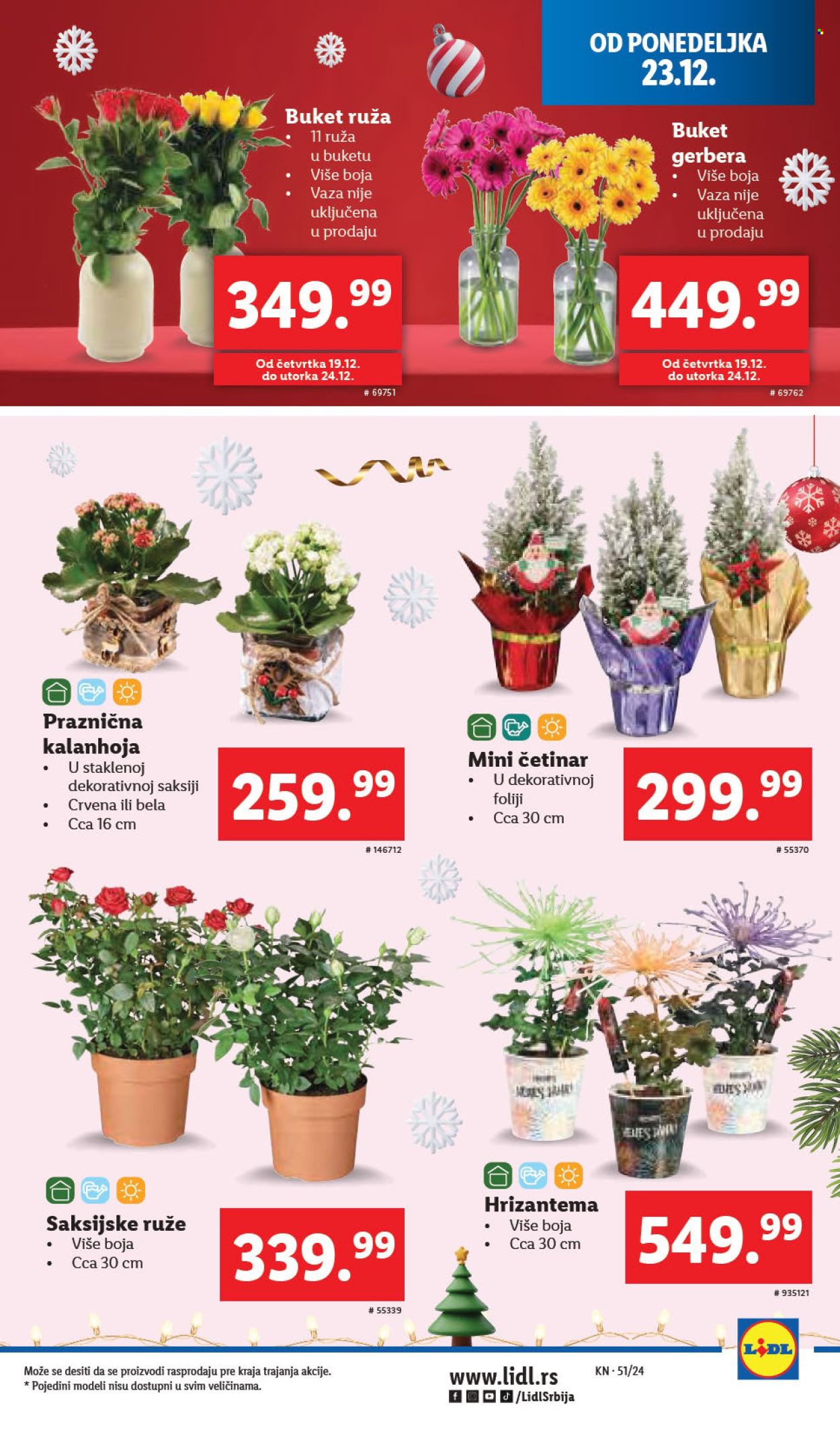 Lidl katalog - 19.12.2024 - 25.12.2024. Stranica 37