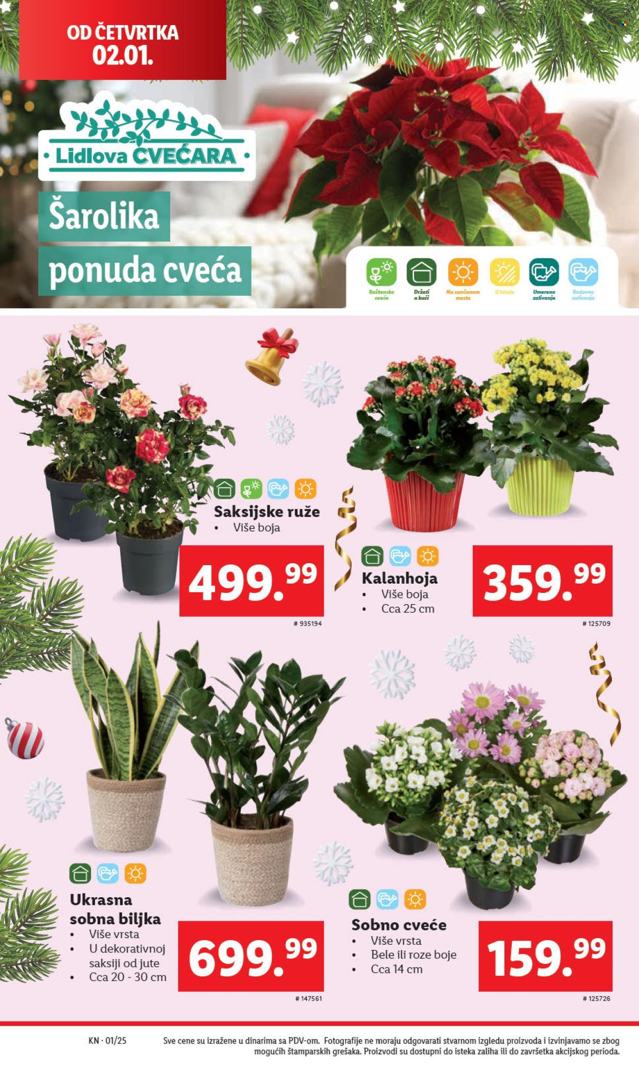 Lidl katalog - 02.01.2025 - 08.01.2025. Stranica 30