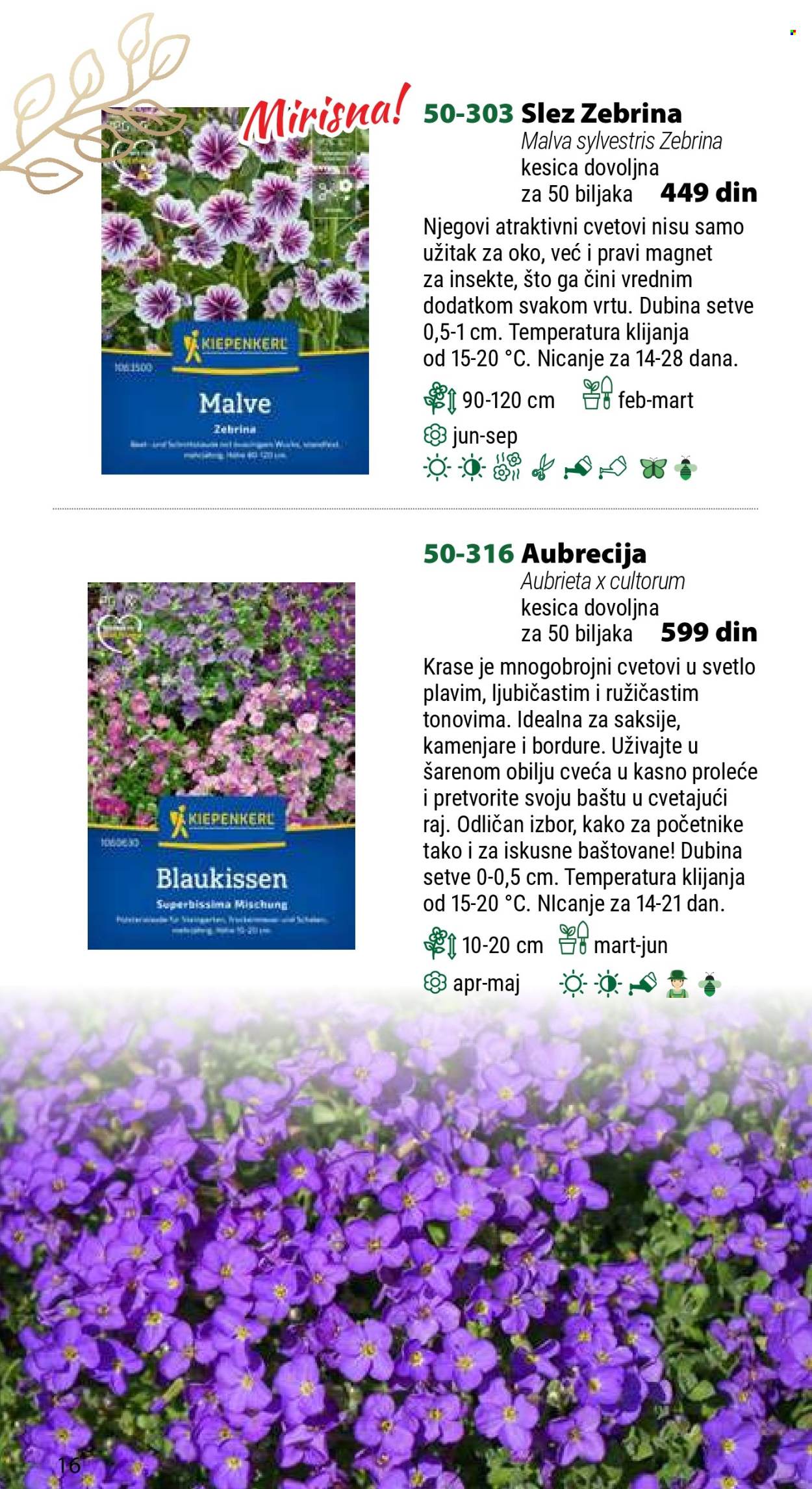 Flora Ekspres katalog. Stranica 16