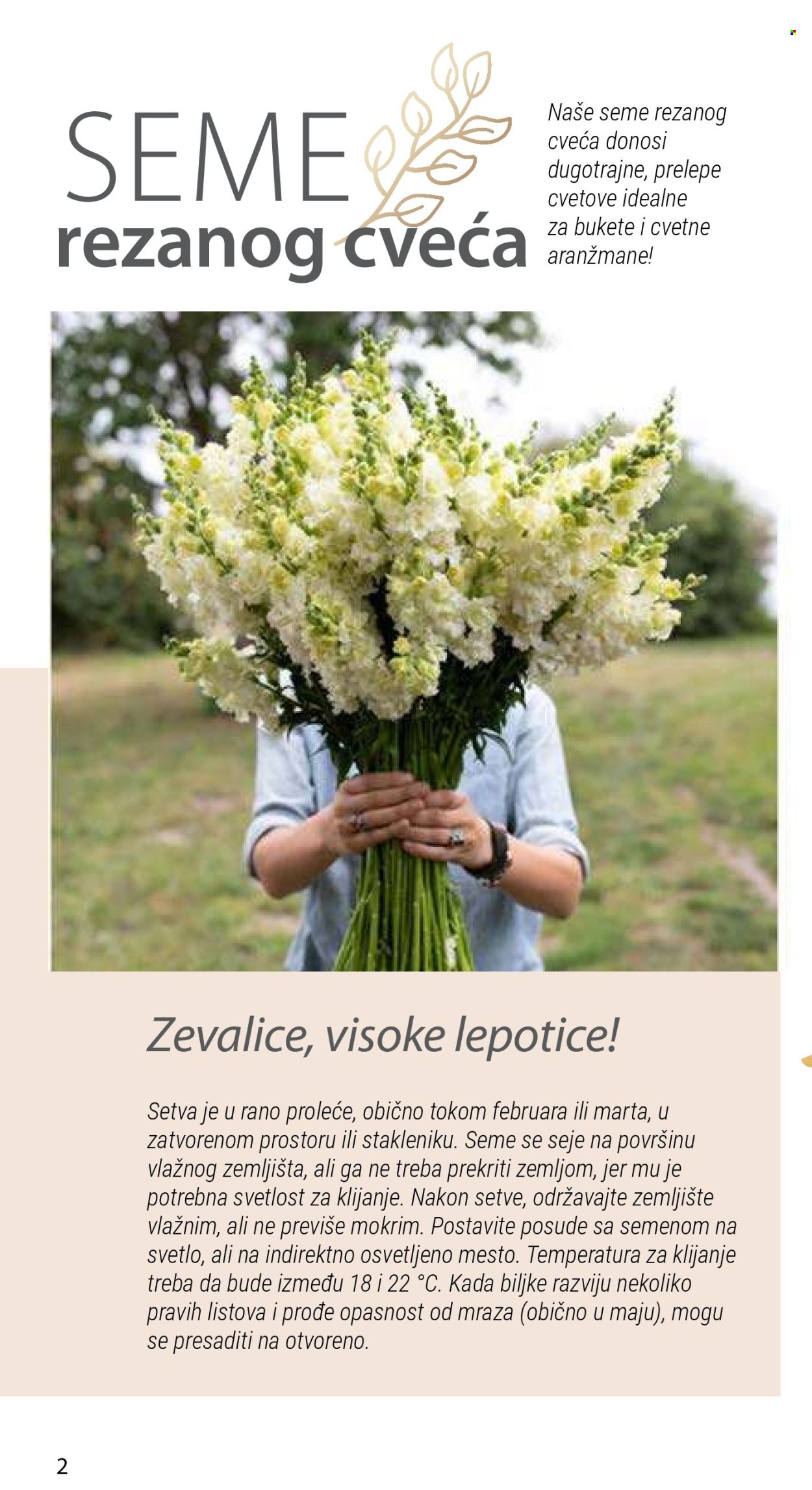 Flora Ekspres katalog. Stranica 2