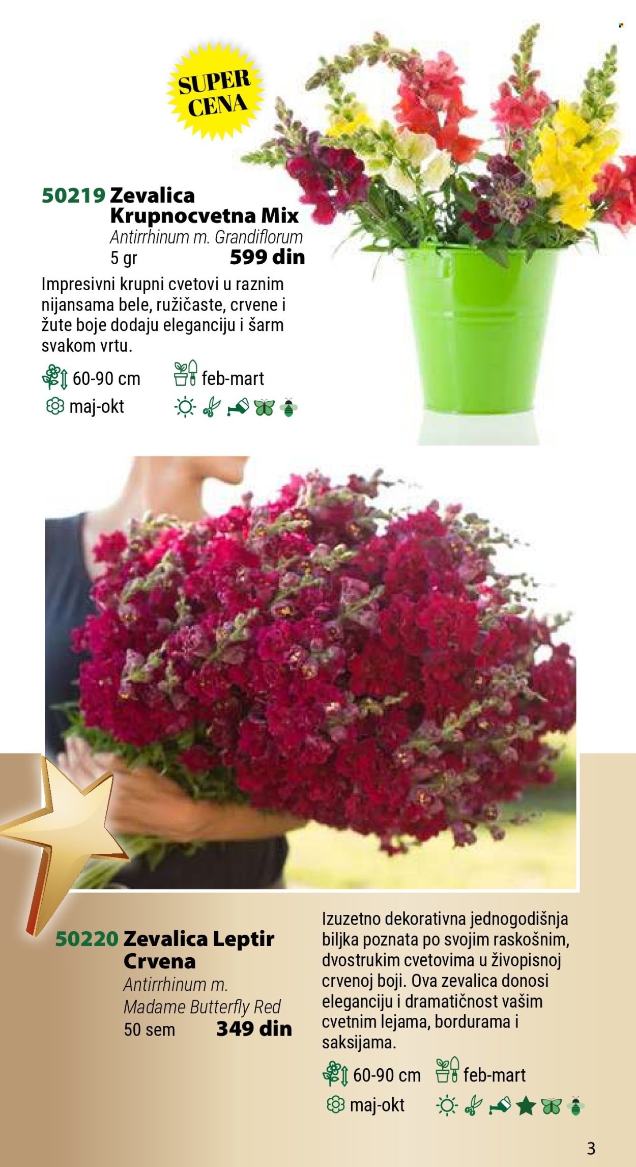 Flora Ekspres katalog. Stranica 3
