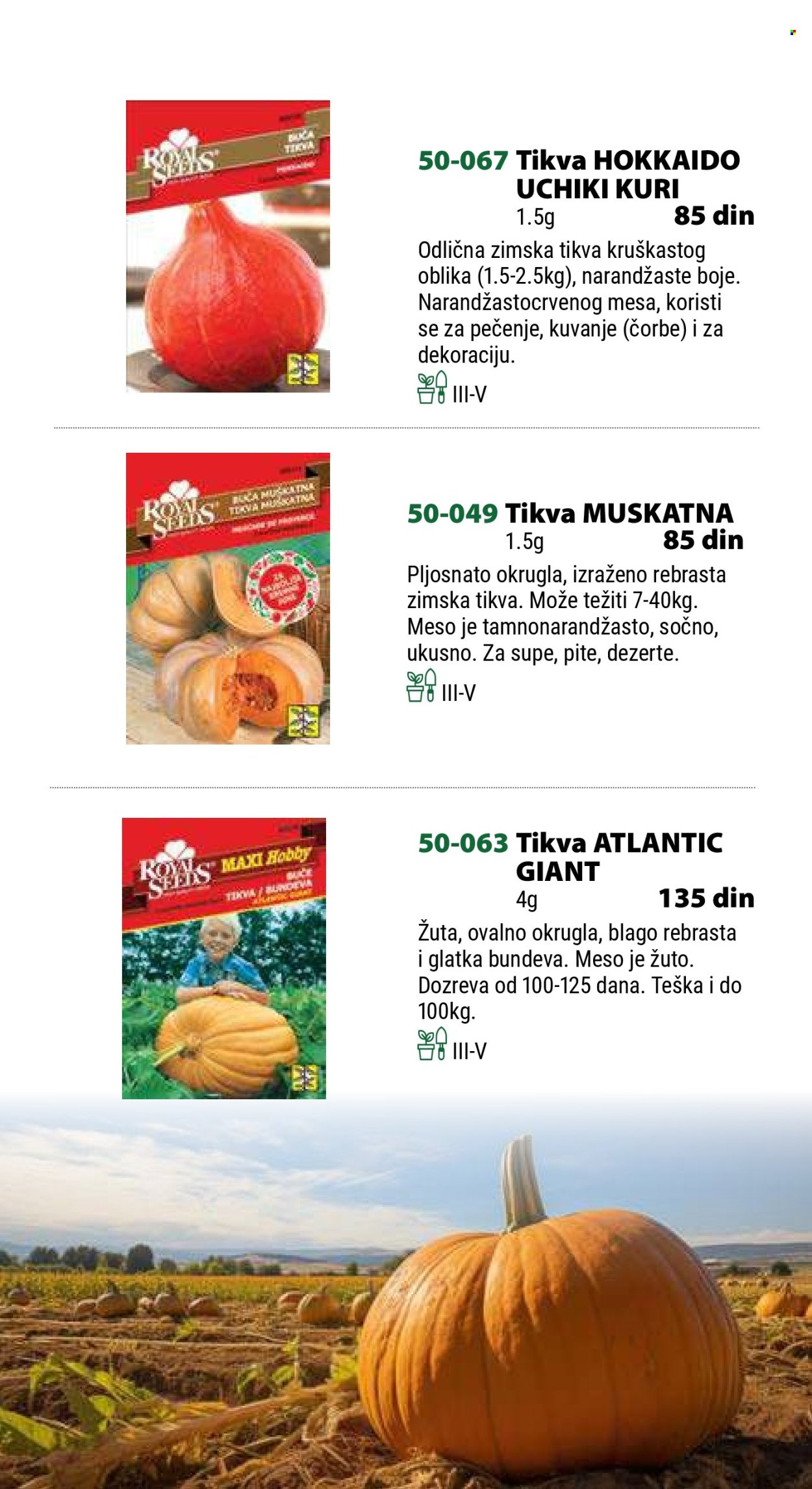 Flora Ekspres katalog. Stranica 12