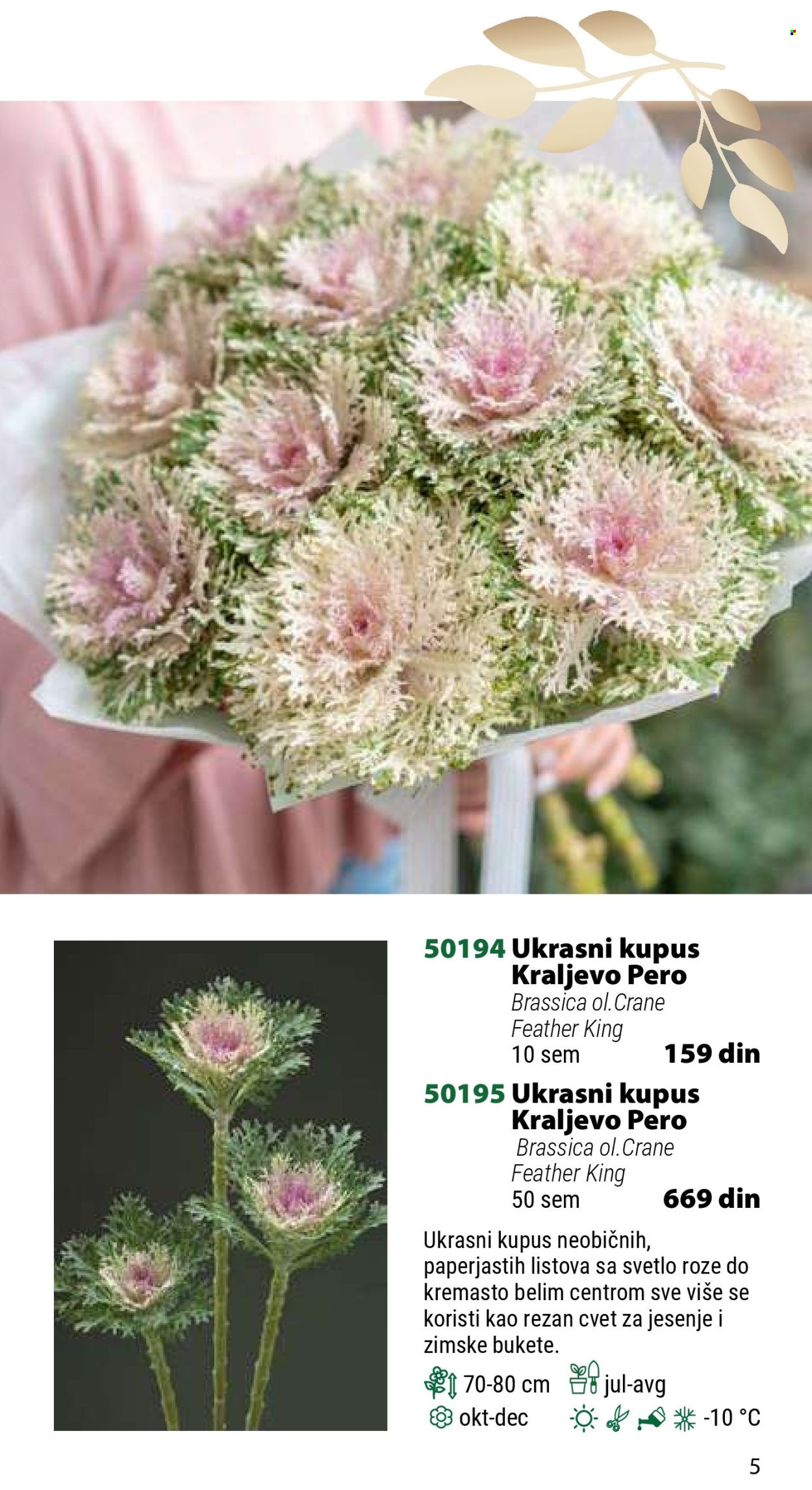 Flora Ekspres katalog. Stranica 5