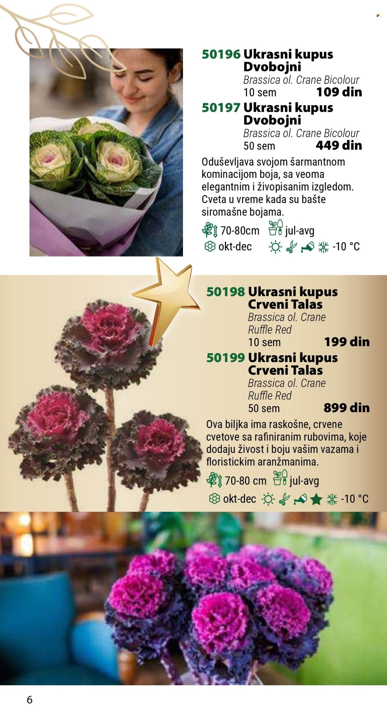 Flora Ekspres katalog. Stranica 6