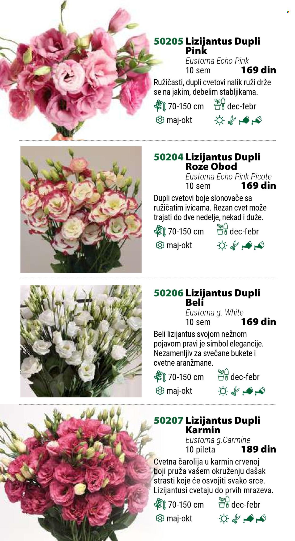 Flora Ekspres katalog. Stranica 8