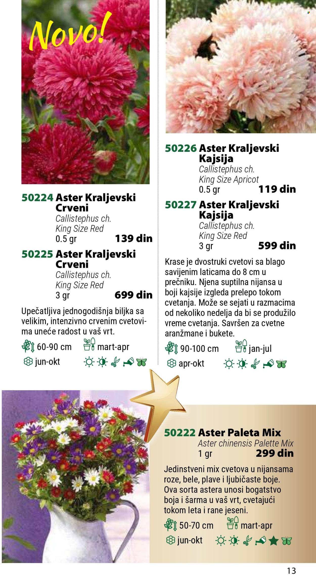 Flora Ekspres katalog. Stranica 13