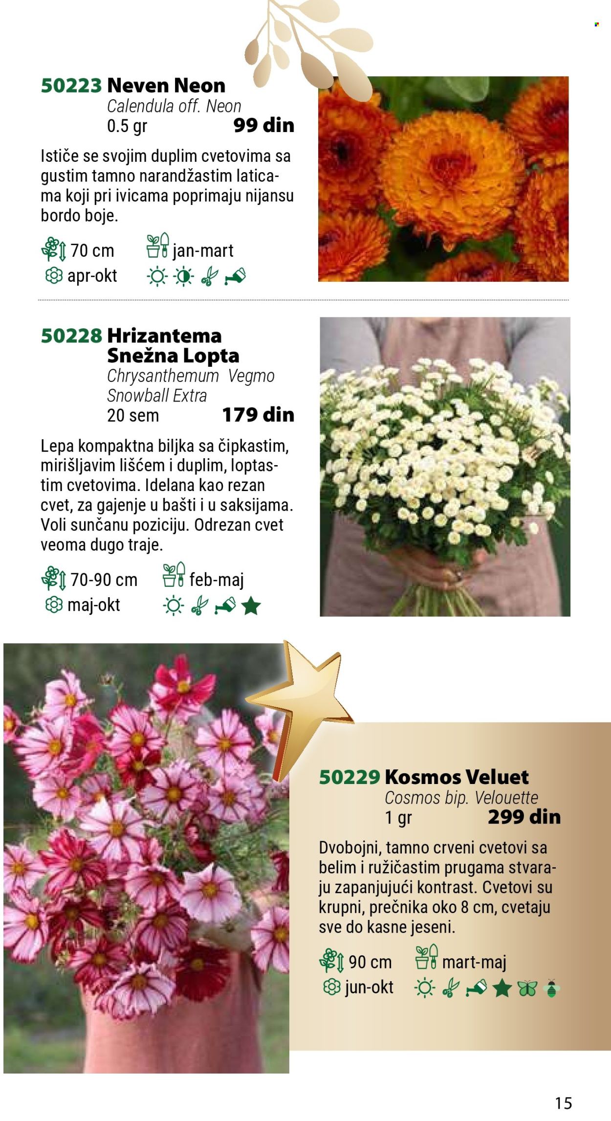 Flora Ekspres katalog. Stranica 15