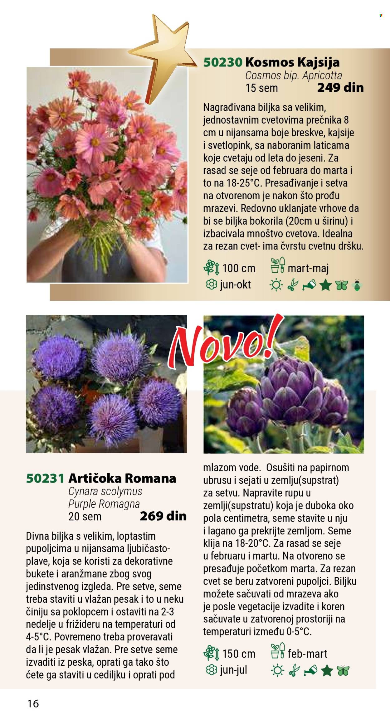 Flora Ekspres katalog. Stranica 16