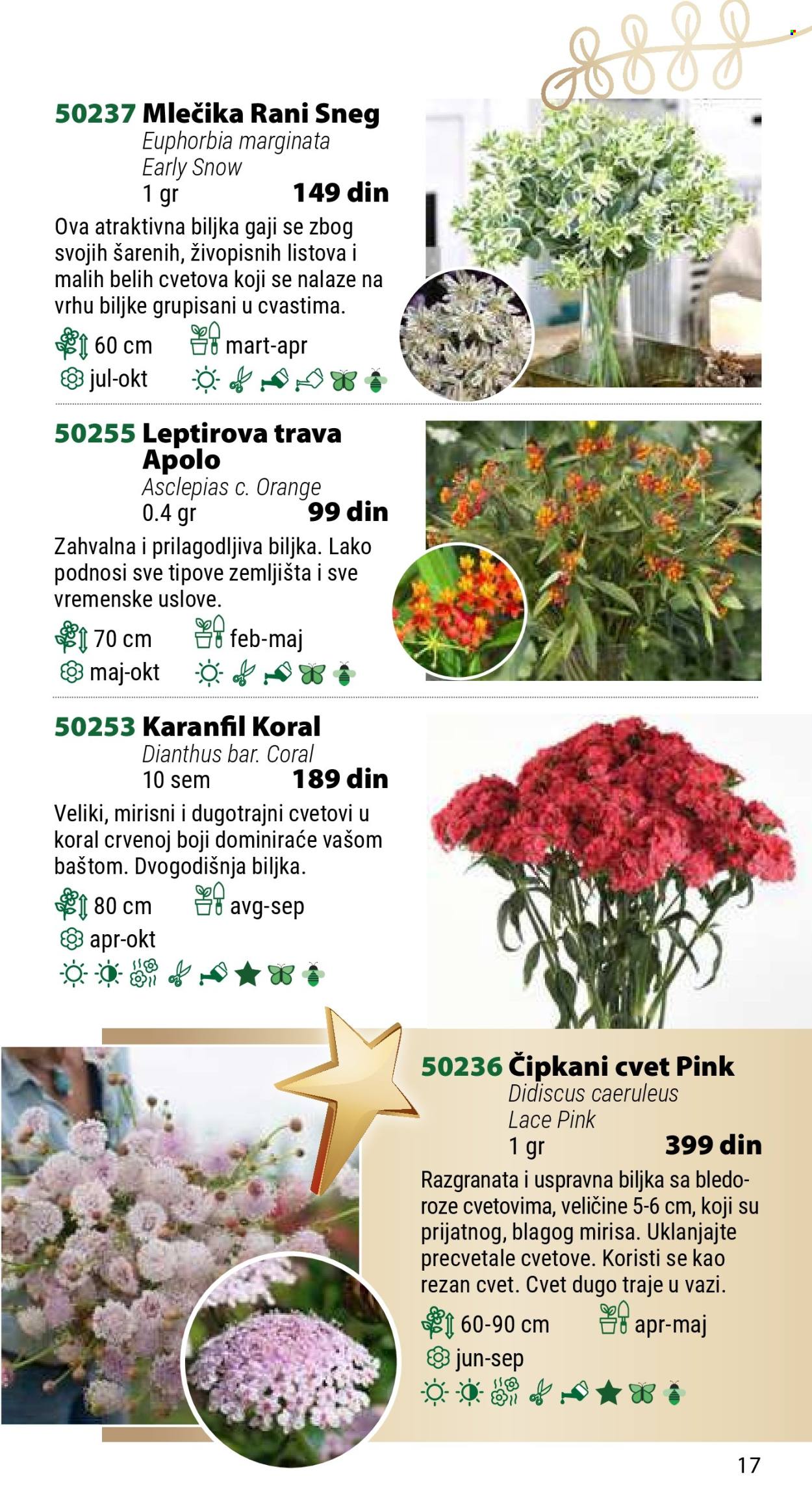Flora Ekspres katalog. Stranica 17
