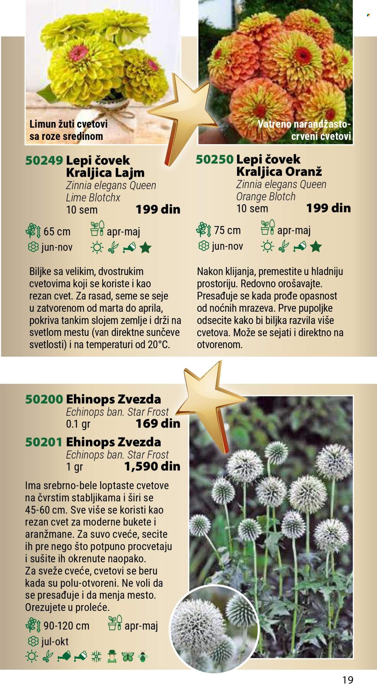 Flora Ekspres katalog. Stranica 19