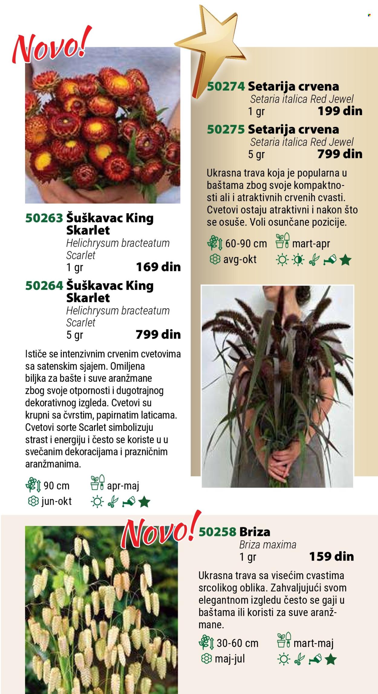 Flora Ekspres katalog. Stranica 21