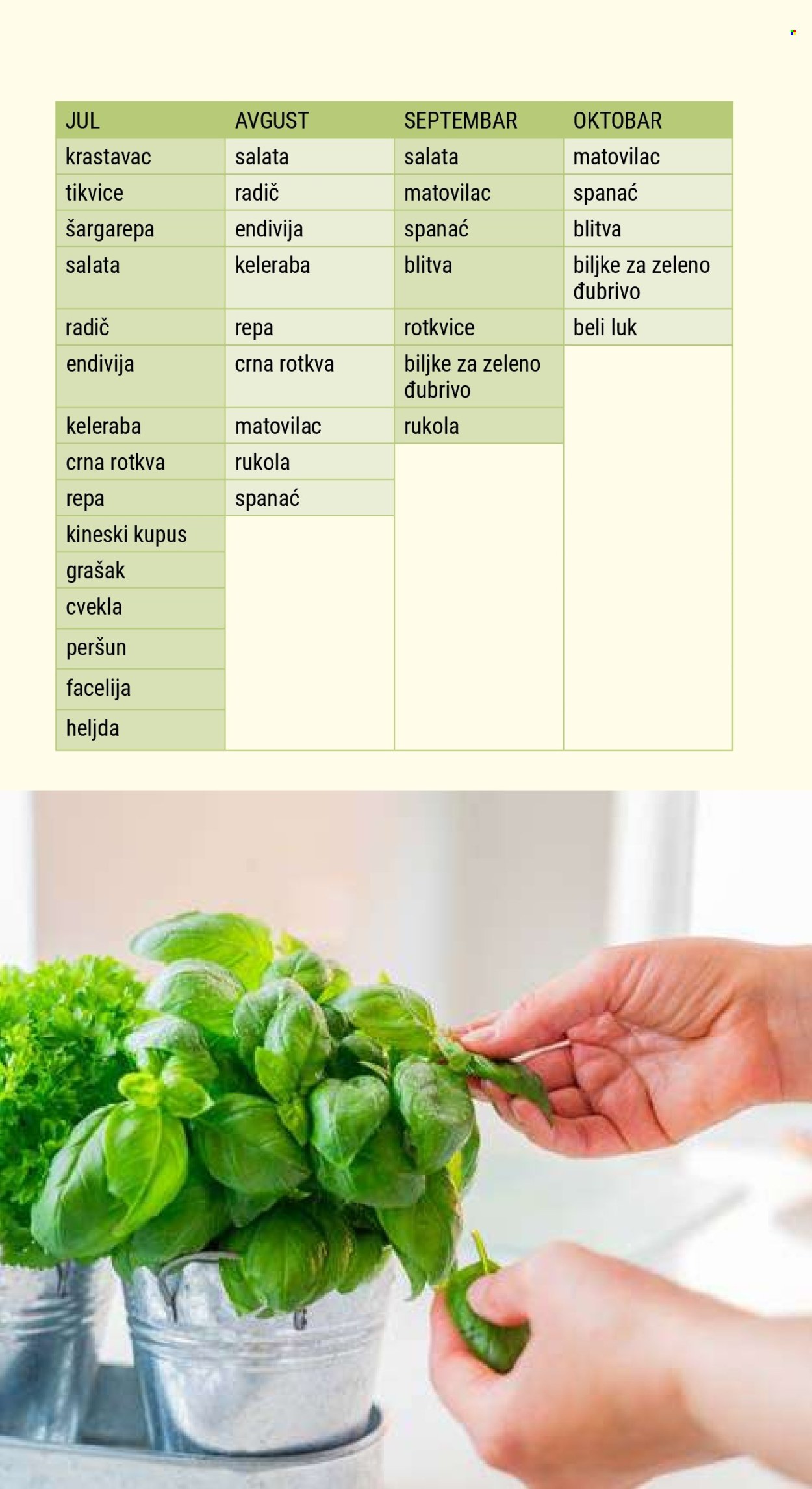 Flora Ekspres katalog. Stranica 31