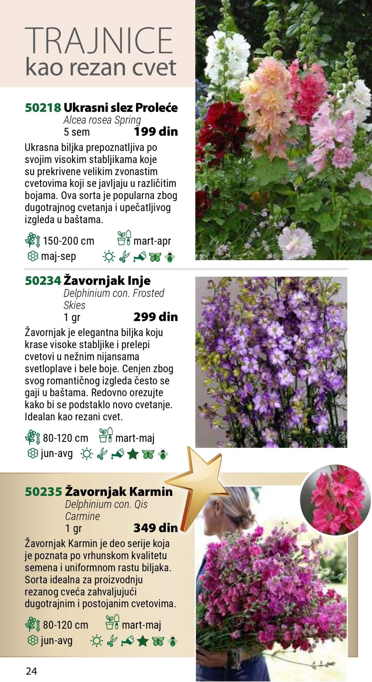 Flora Ekspres katalog. Stranica 24
