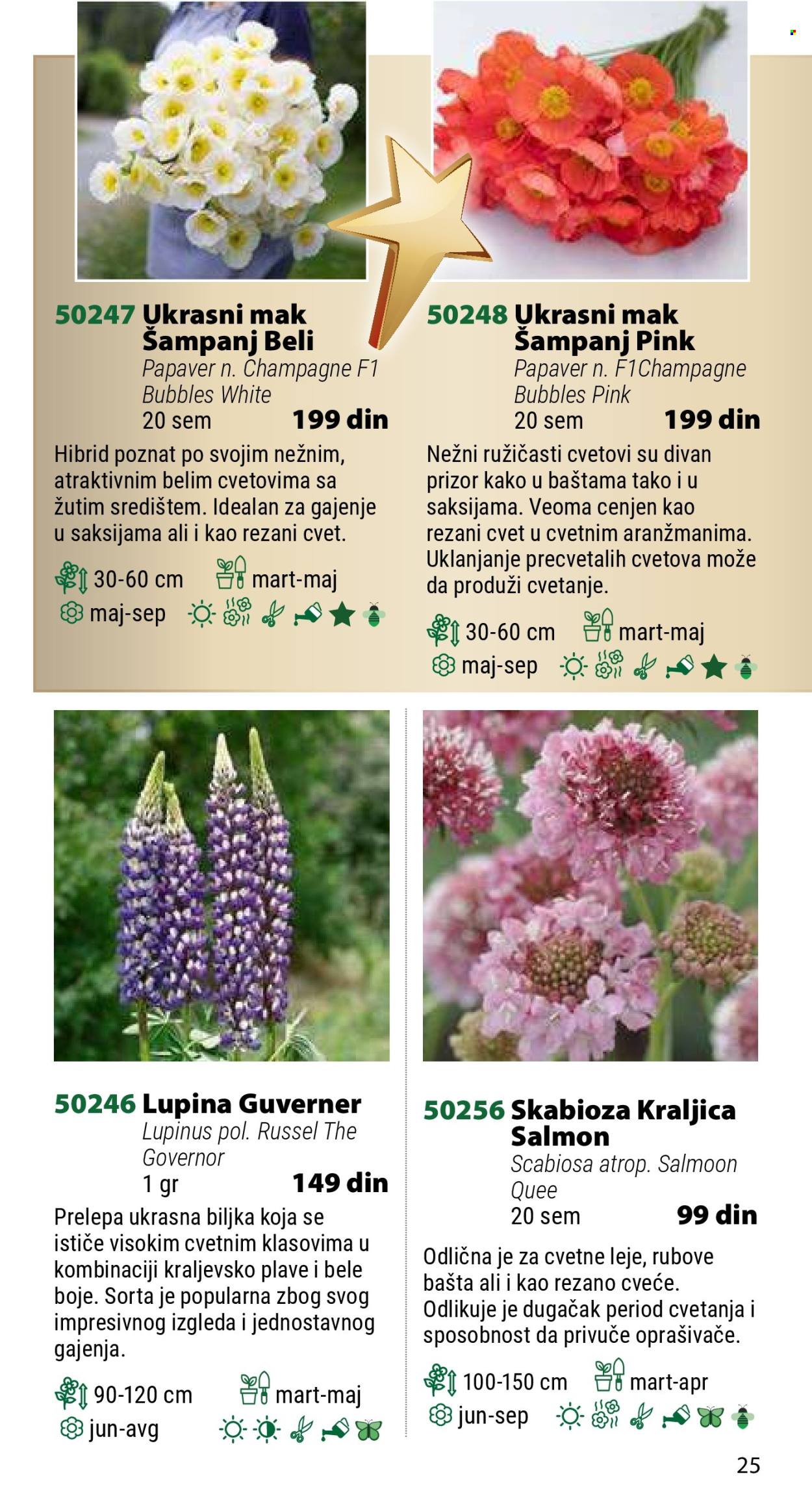 Flora Ekspres katalog. Stranica 25