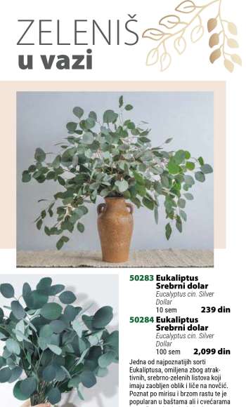 thumbnail - Sobne biljke