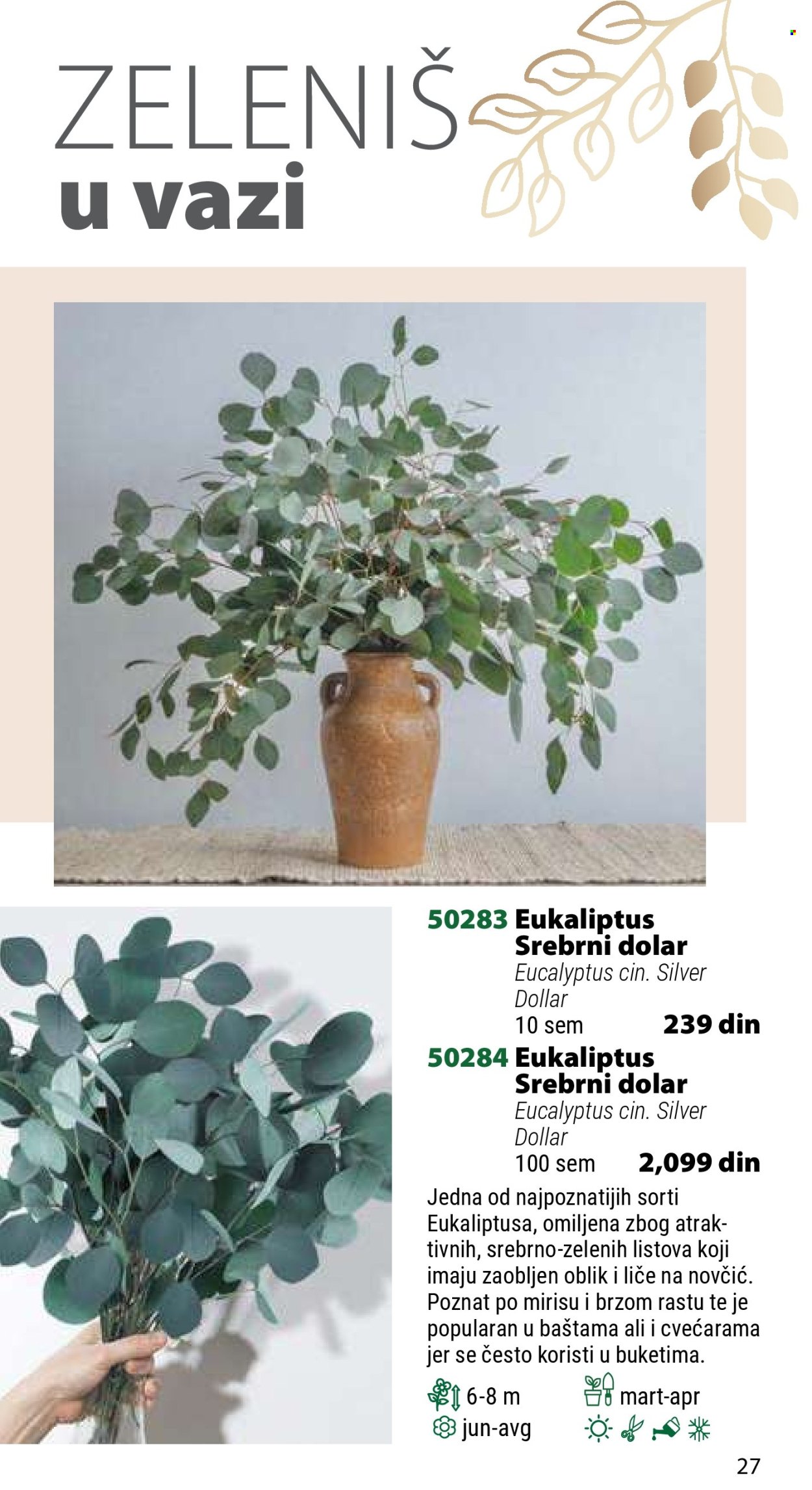 Flora Ekspres katalog. Stranica 27