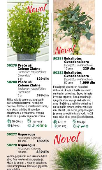 thumbnail - Sobne biljke