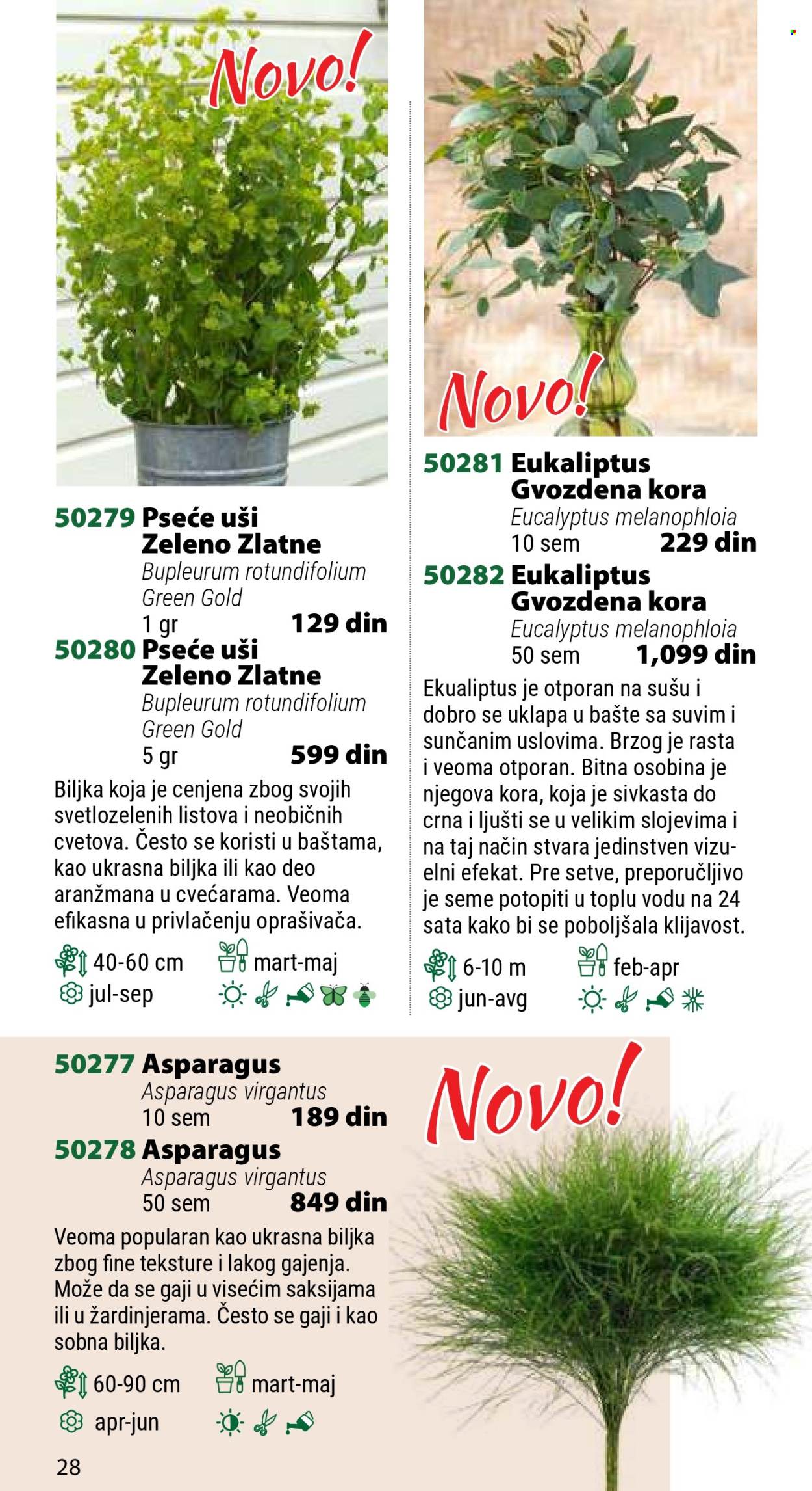 Flora Ekspres katalog. Stranica 28