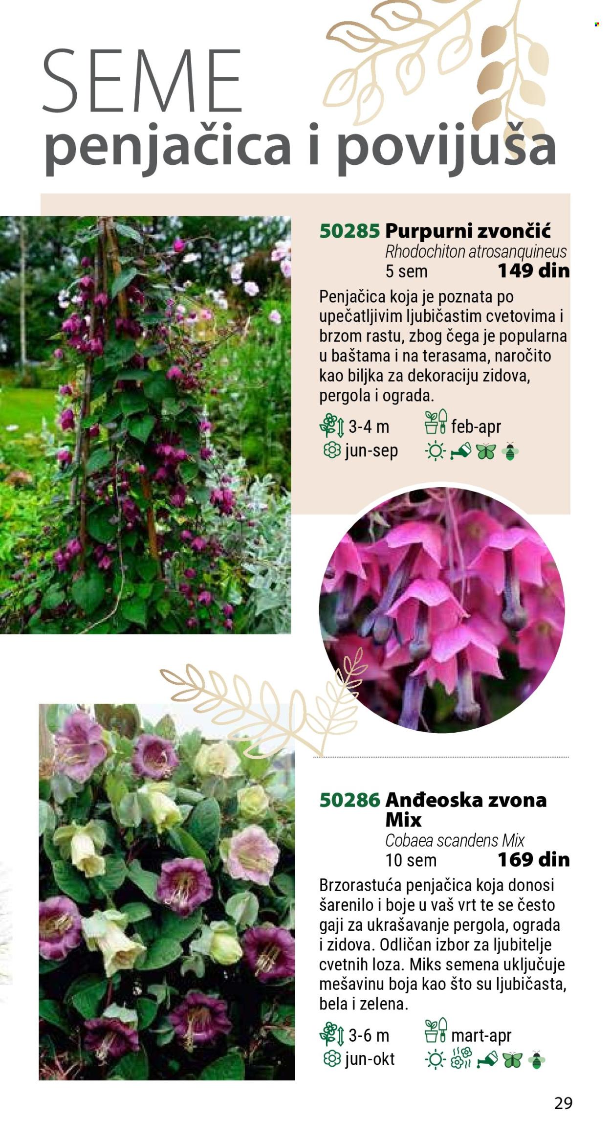 Flora Ekspres katalog. Stranica 29