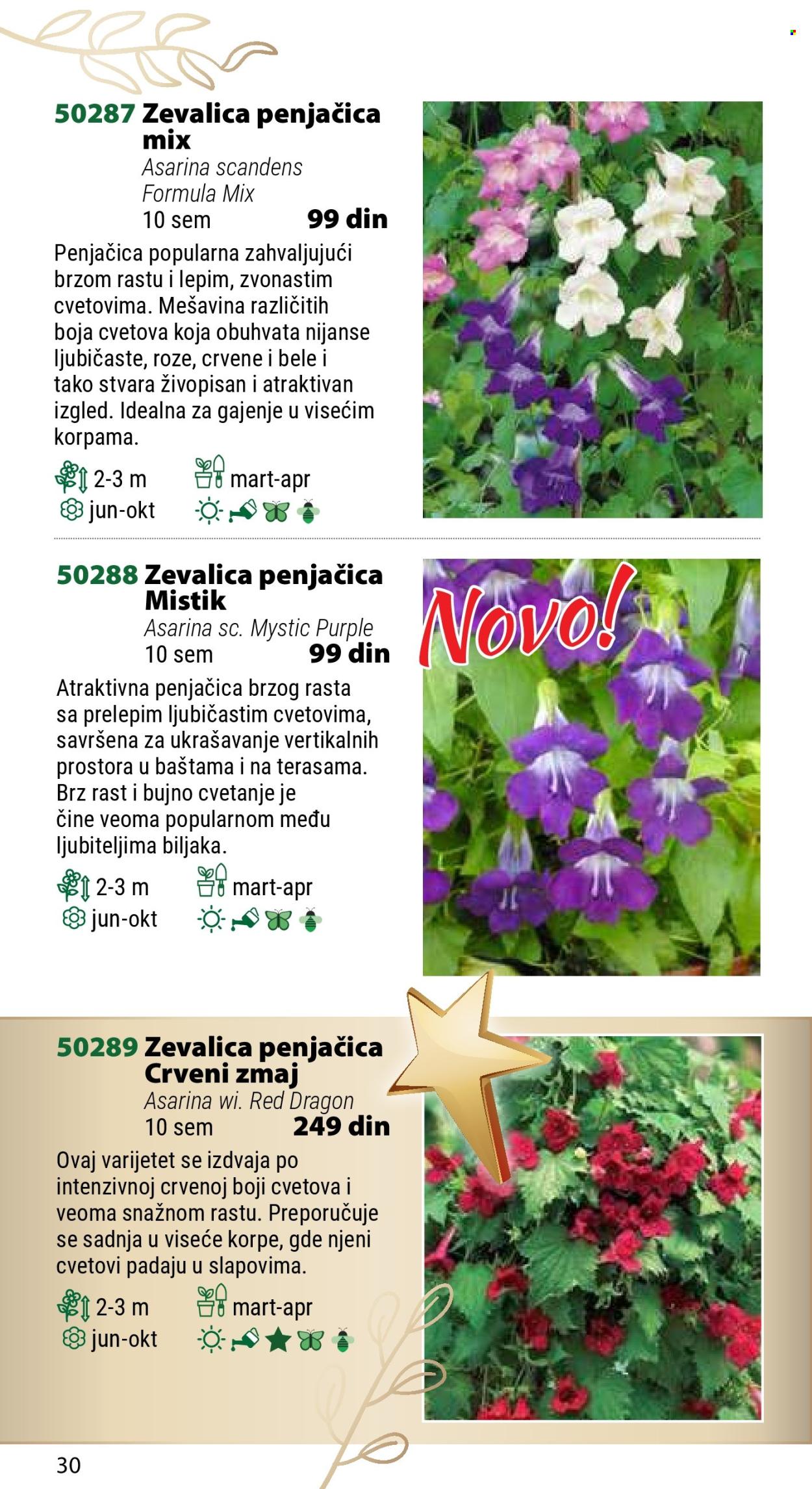 Flora Ekspres katalog. Stranica 30