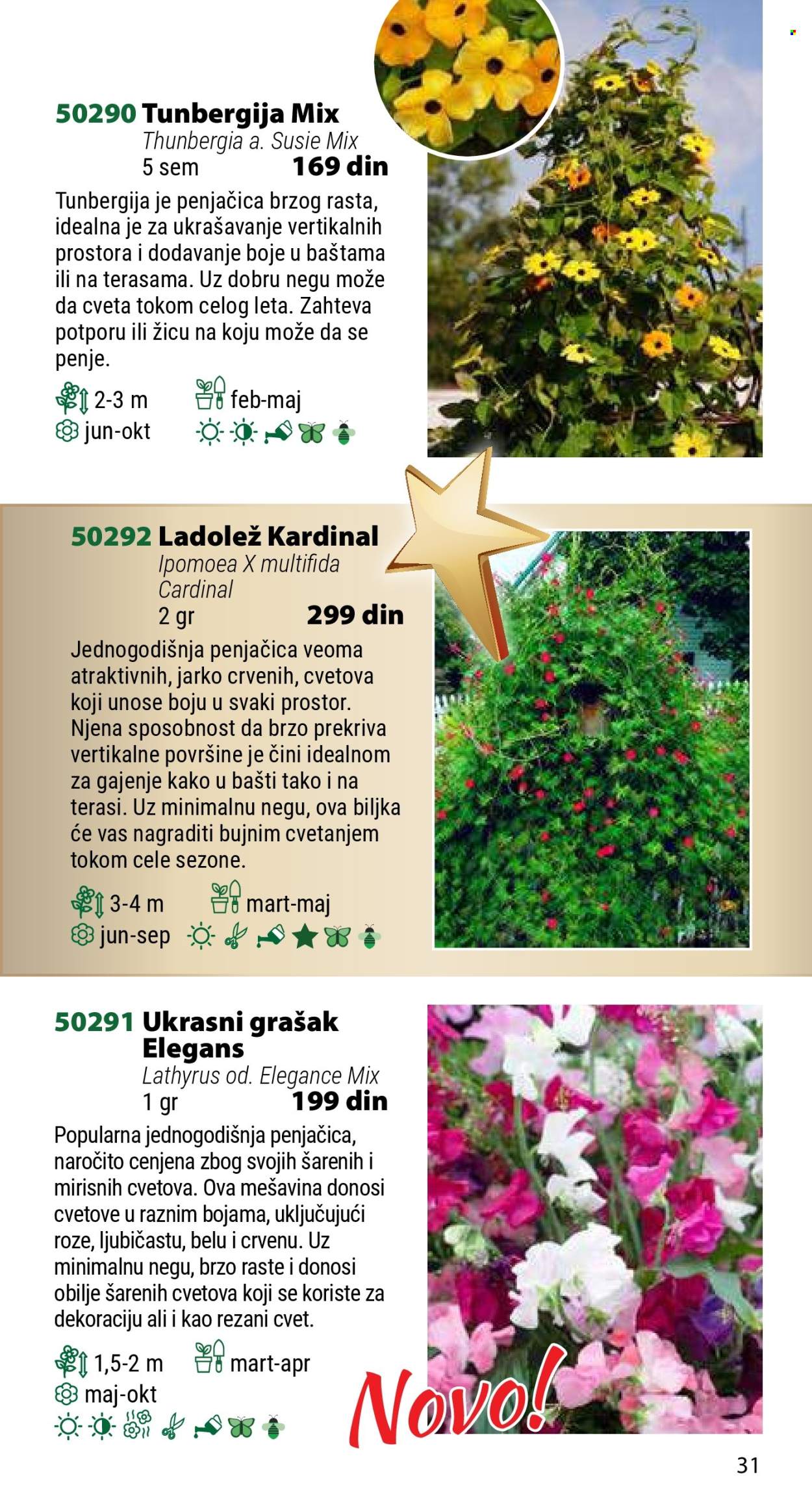 Flora Ekspres katalog. Stranica 31