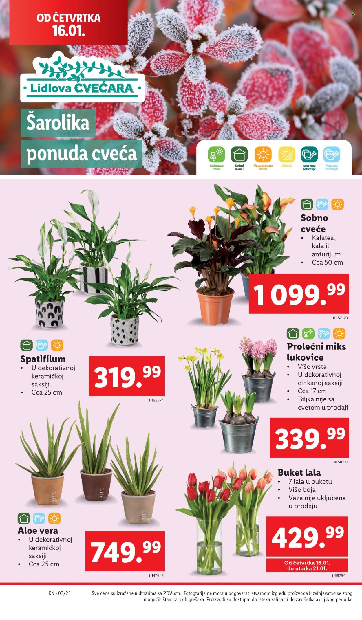 Lidl katalog - 16.01.2025 - 22.01.2025. Stranica 32