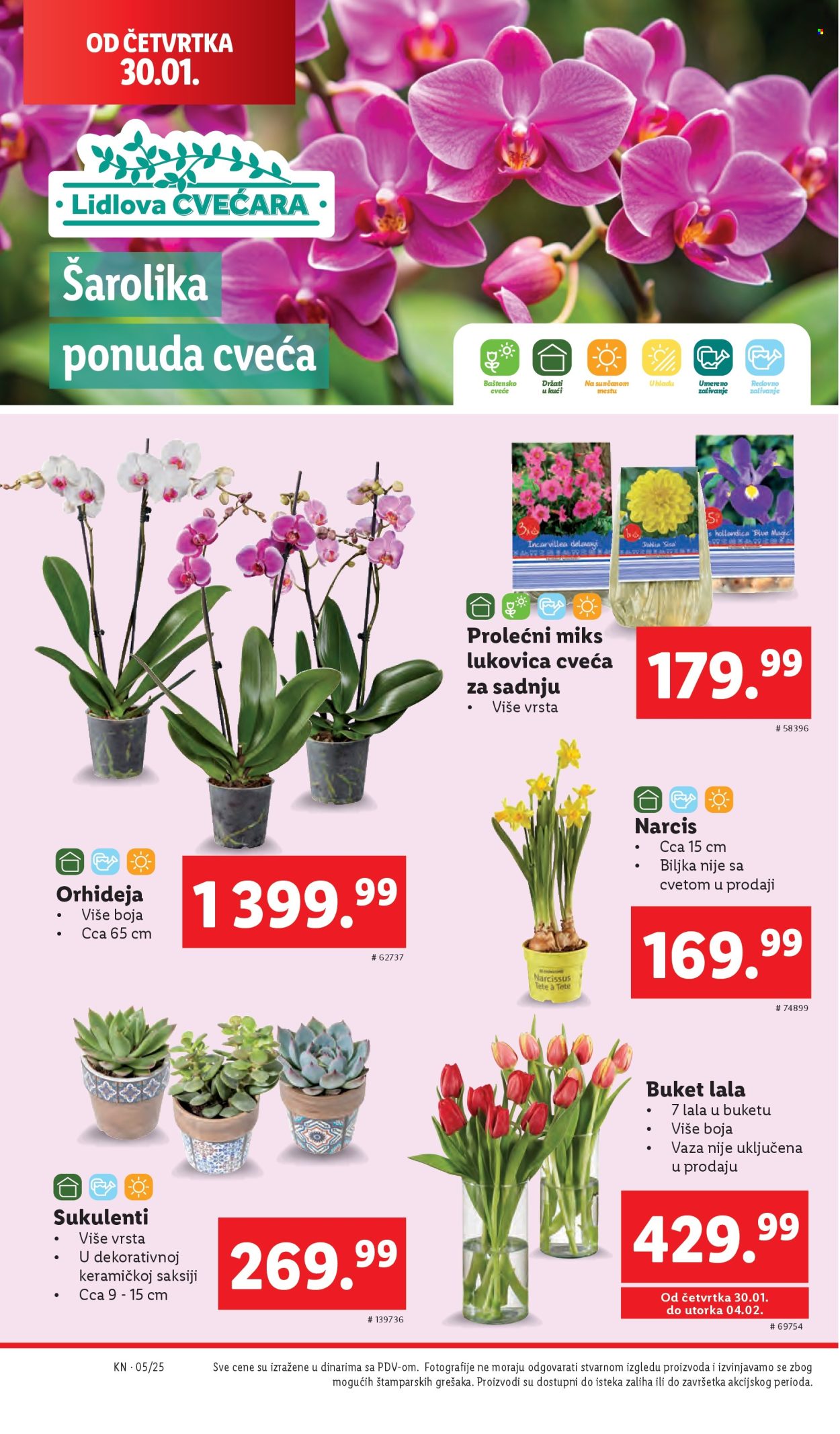 Lidl katalog - 30.01.2025 - 05.02.2025. Stranica 26