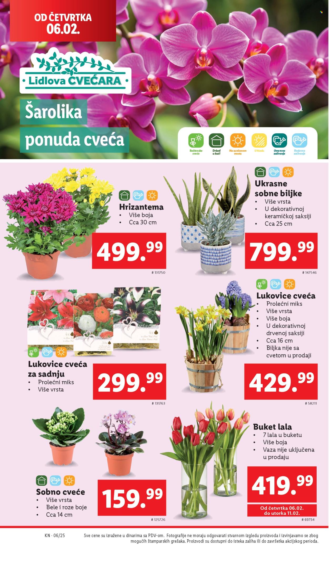 Lidl katalog - 06.02.2025 - 12.02.2025. Stranica 30