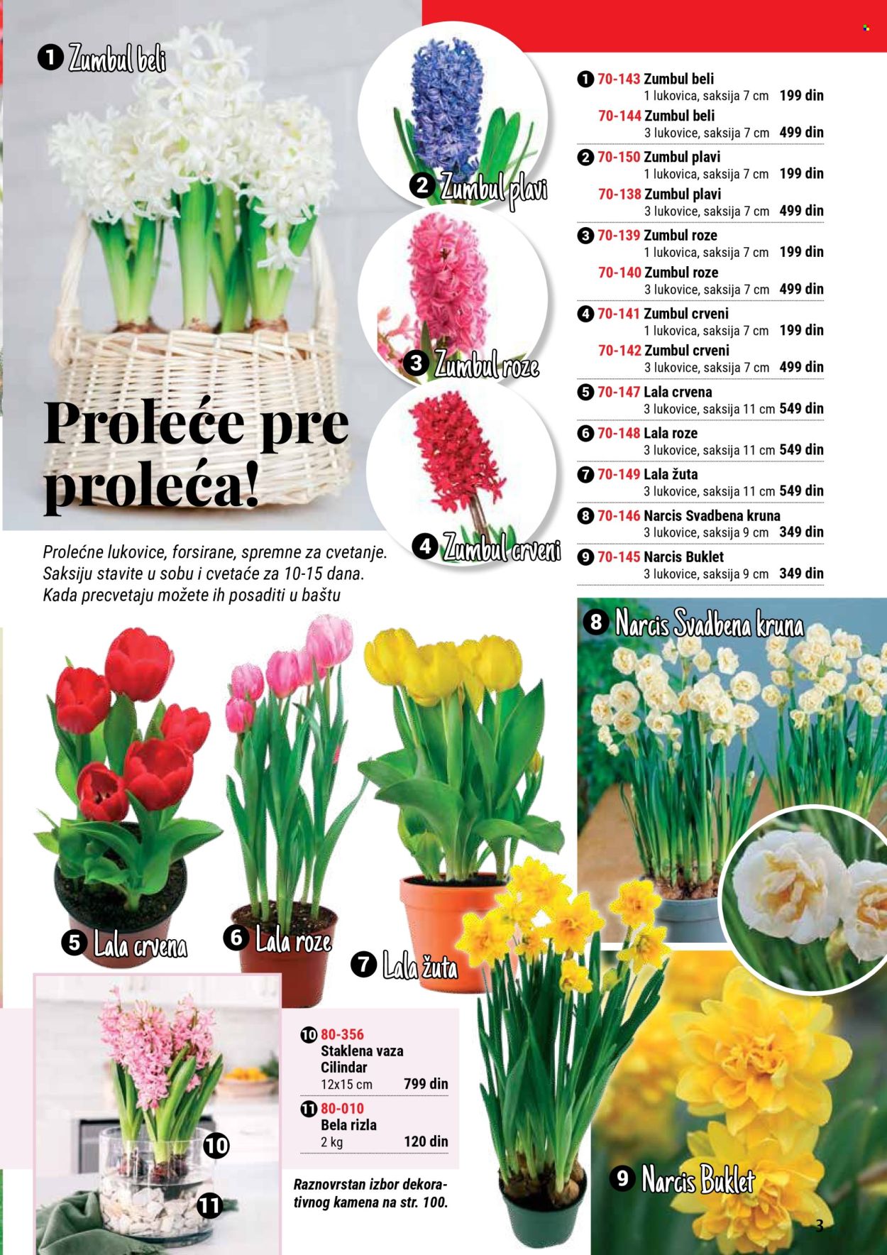 Flora Ekspres katalog. Stranica 3