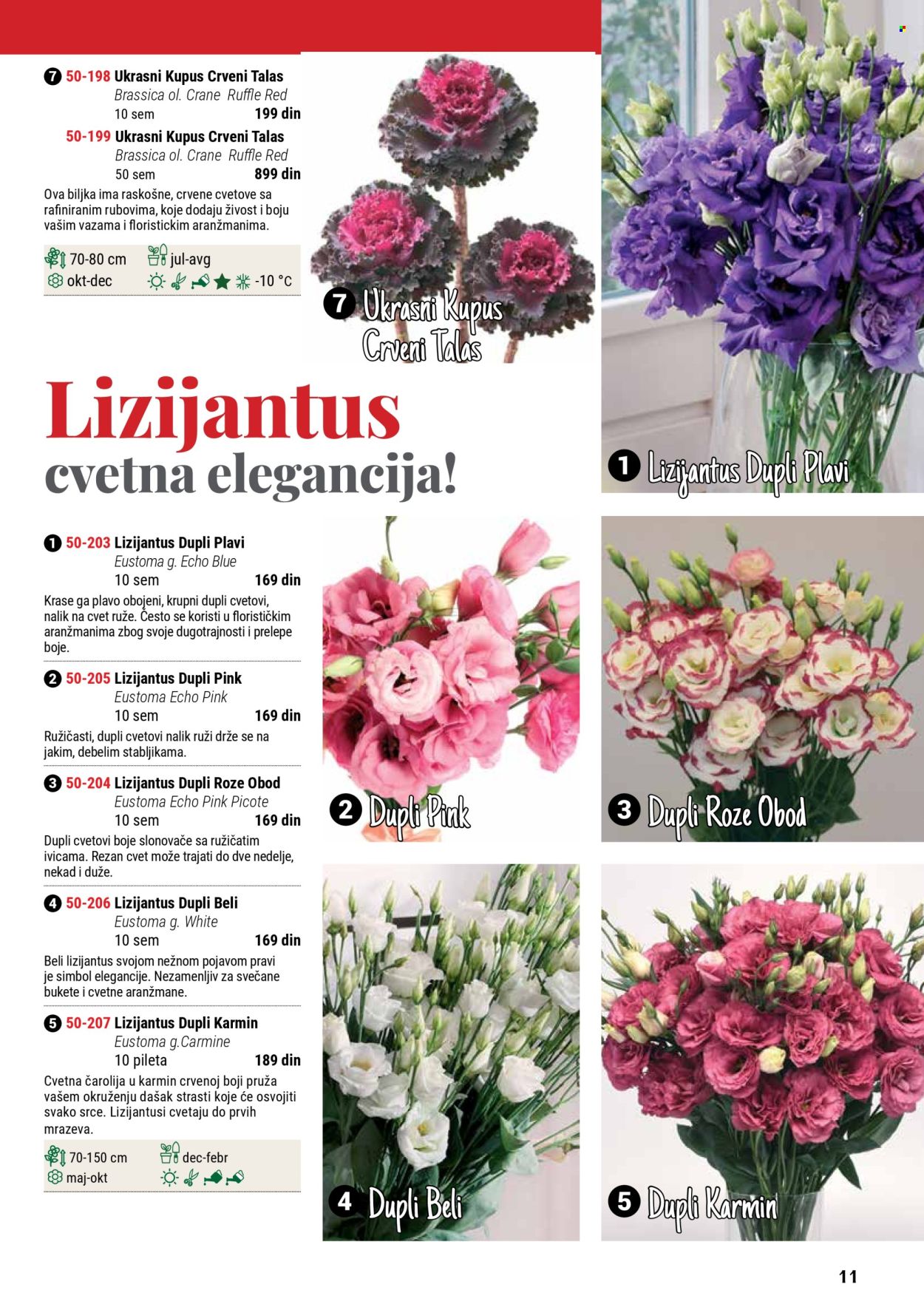 Flora Ekspres katalog. Stranica 11