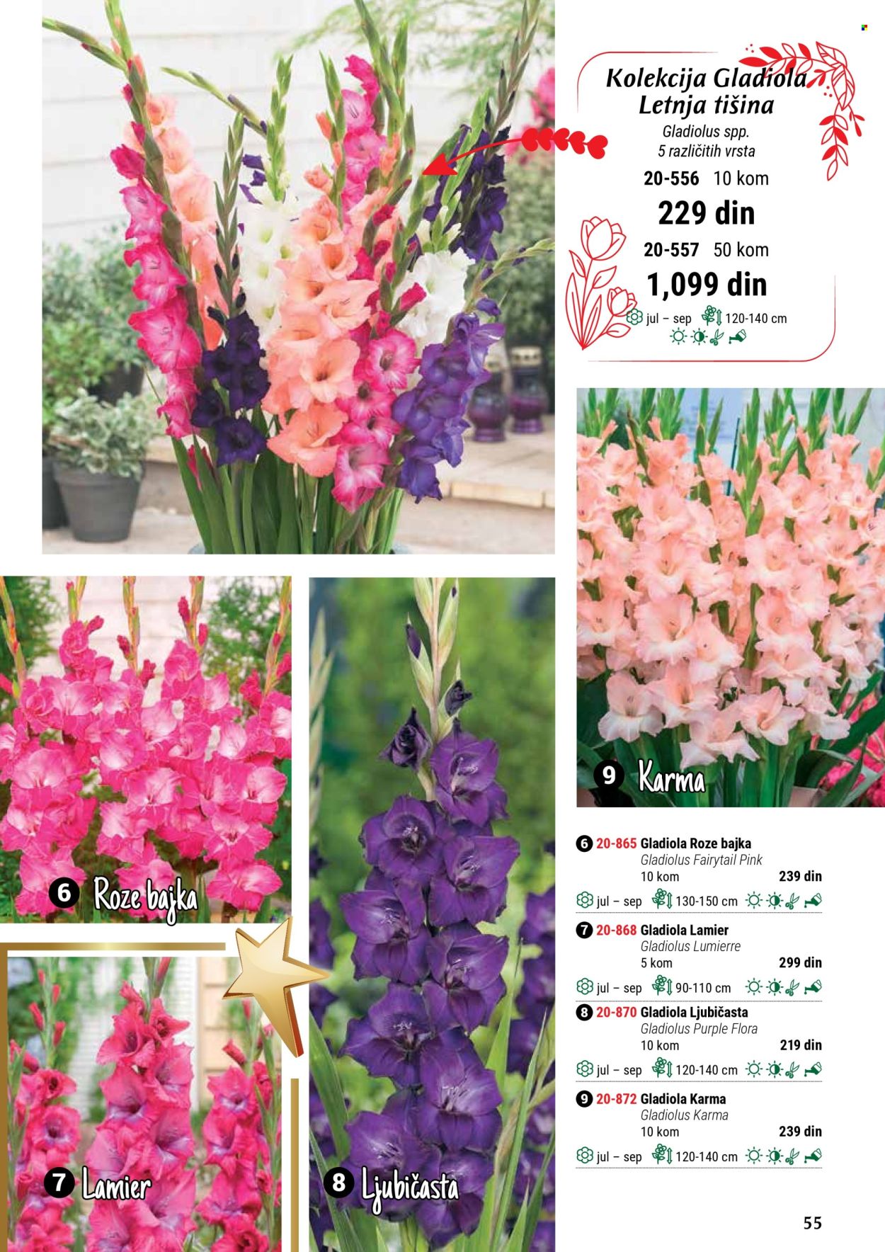 Flora Ekspres katalog. Stranica 55