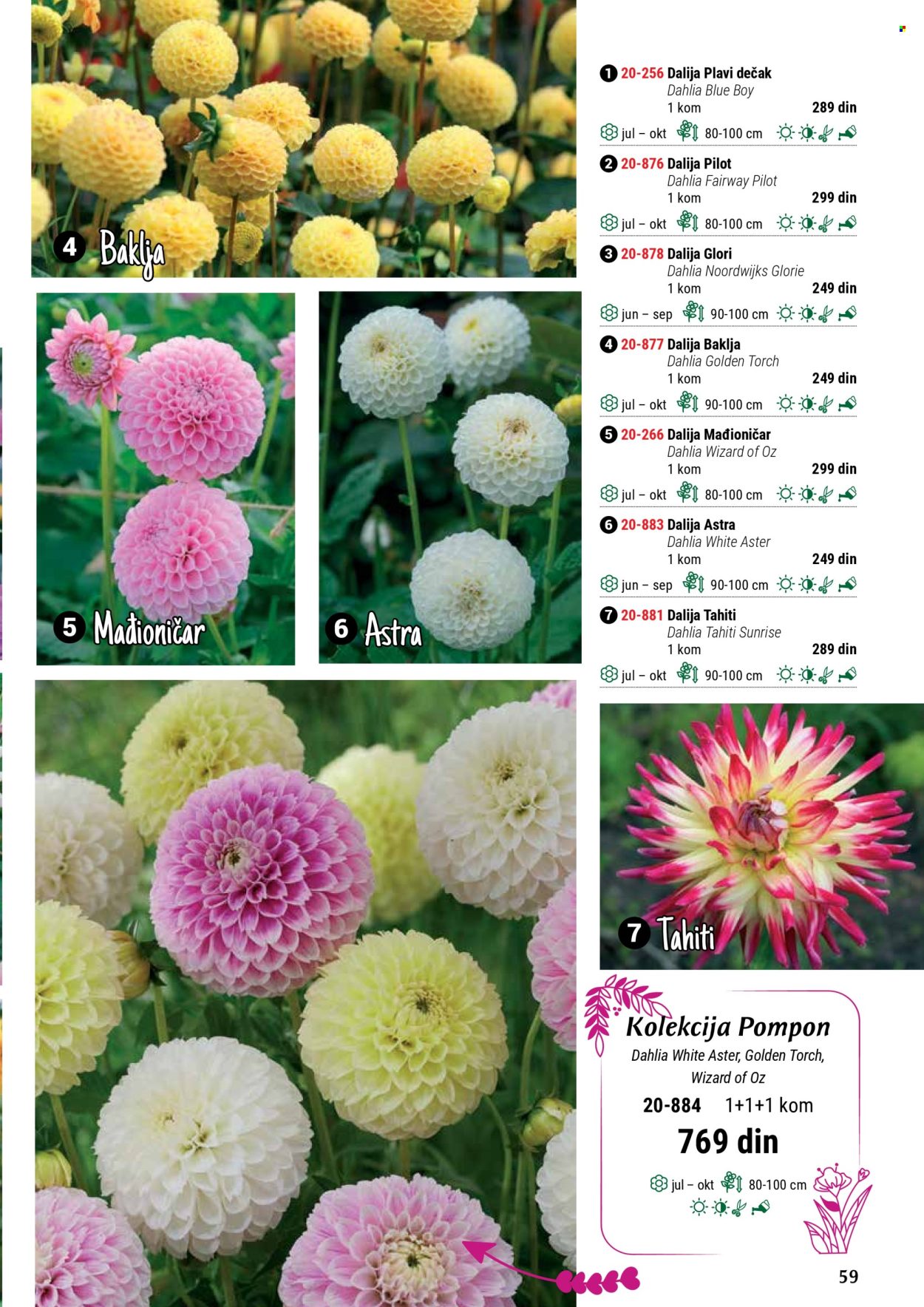 Flora Ekspres katalog. Stranica 59