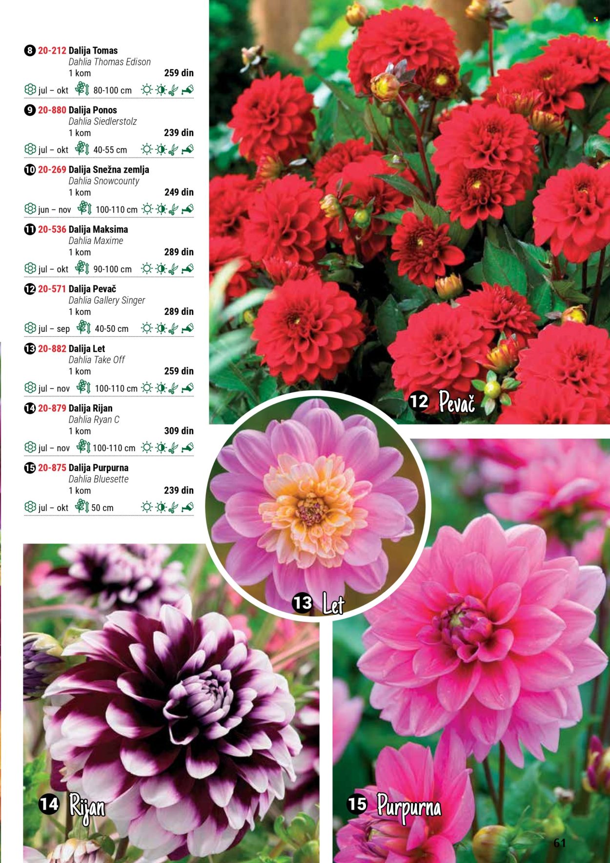 Flora Ekspres katalog. Stranica 61