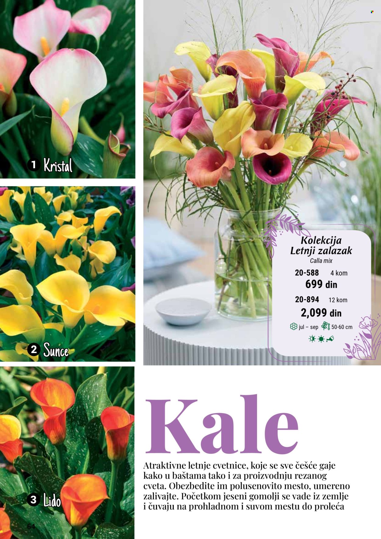 Flora Ekspres katalog. Stranica 64
