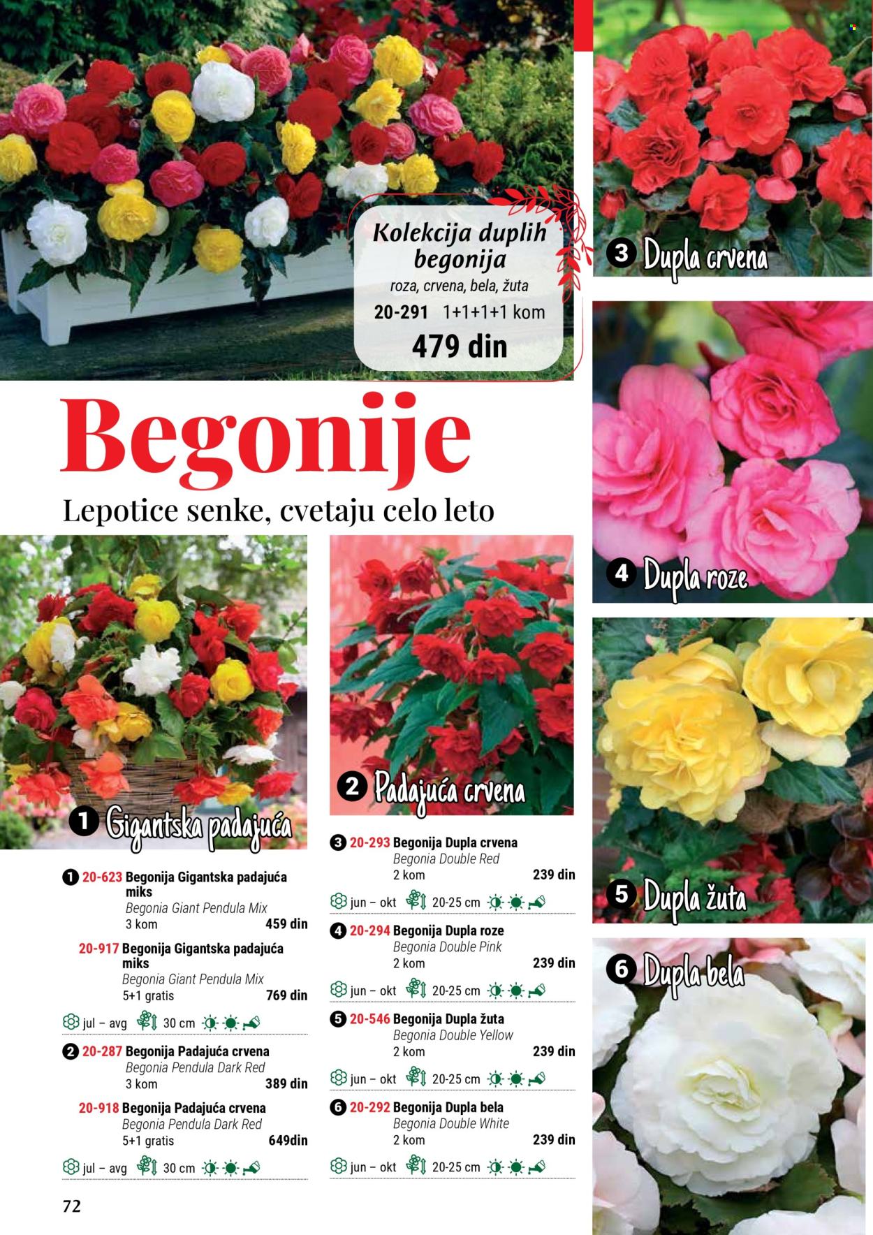 Flora Ekspres katalog. Stranica 72