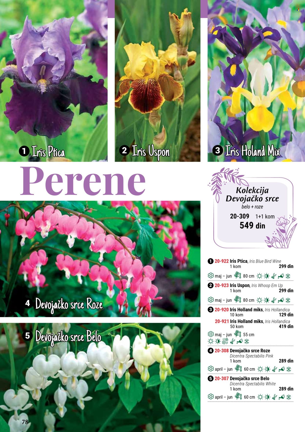 Flora Ekspres katalog. Stranica 78