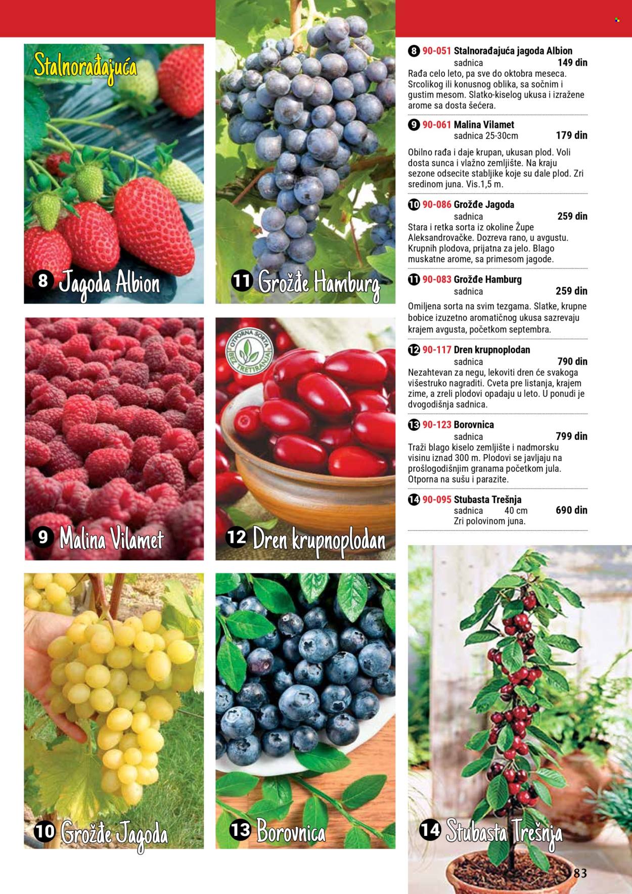 Flora Ekspres katalog. Stranica 83
