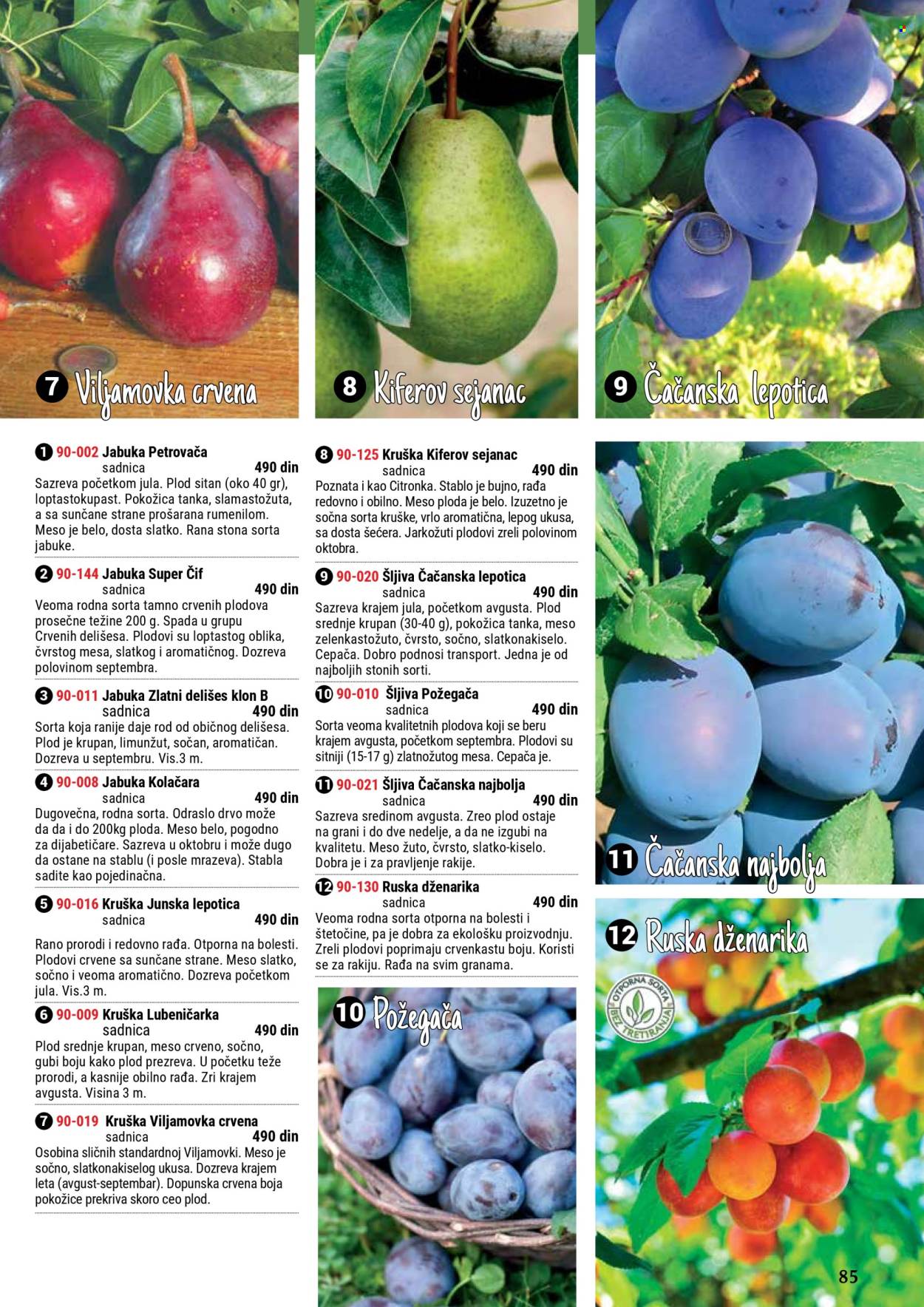 Flora Ekspres katalog. Stranica 85