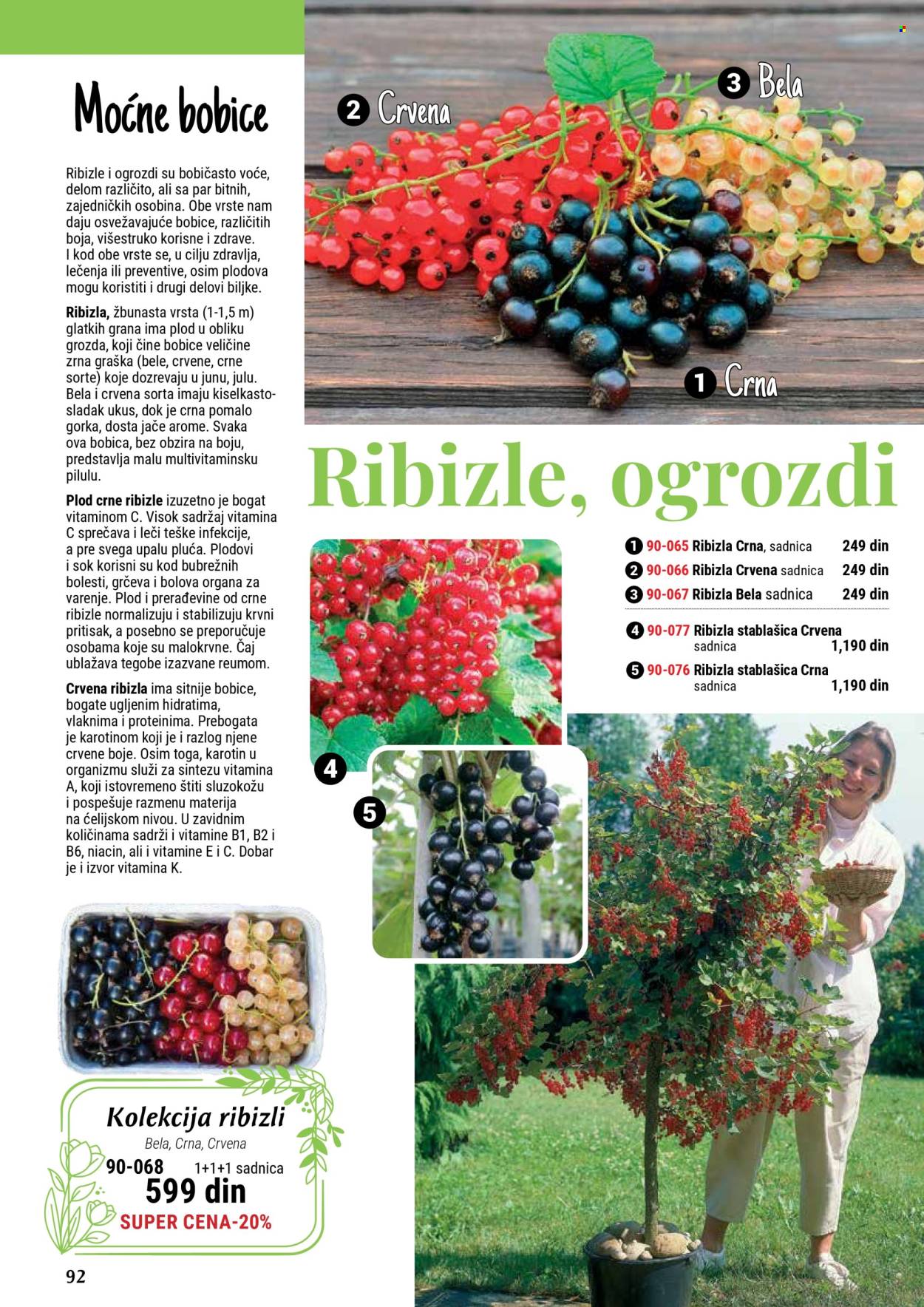Flora Ekspres katalog. Stranica 92