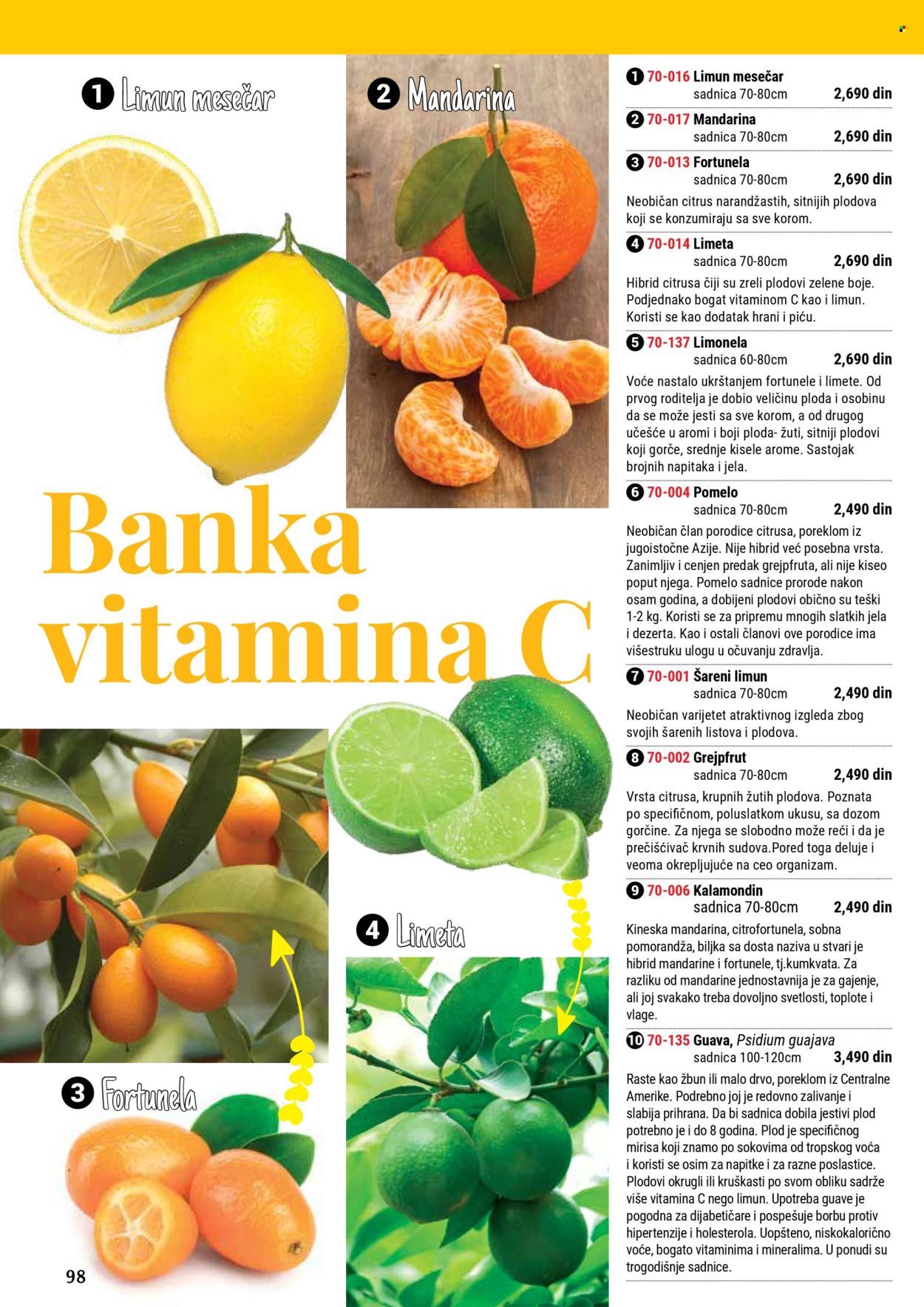 Flora Ekspres katalog. Stranica 98